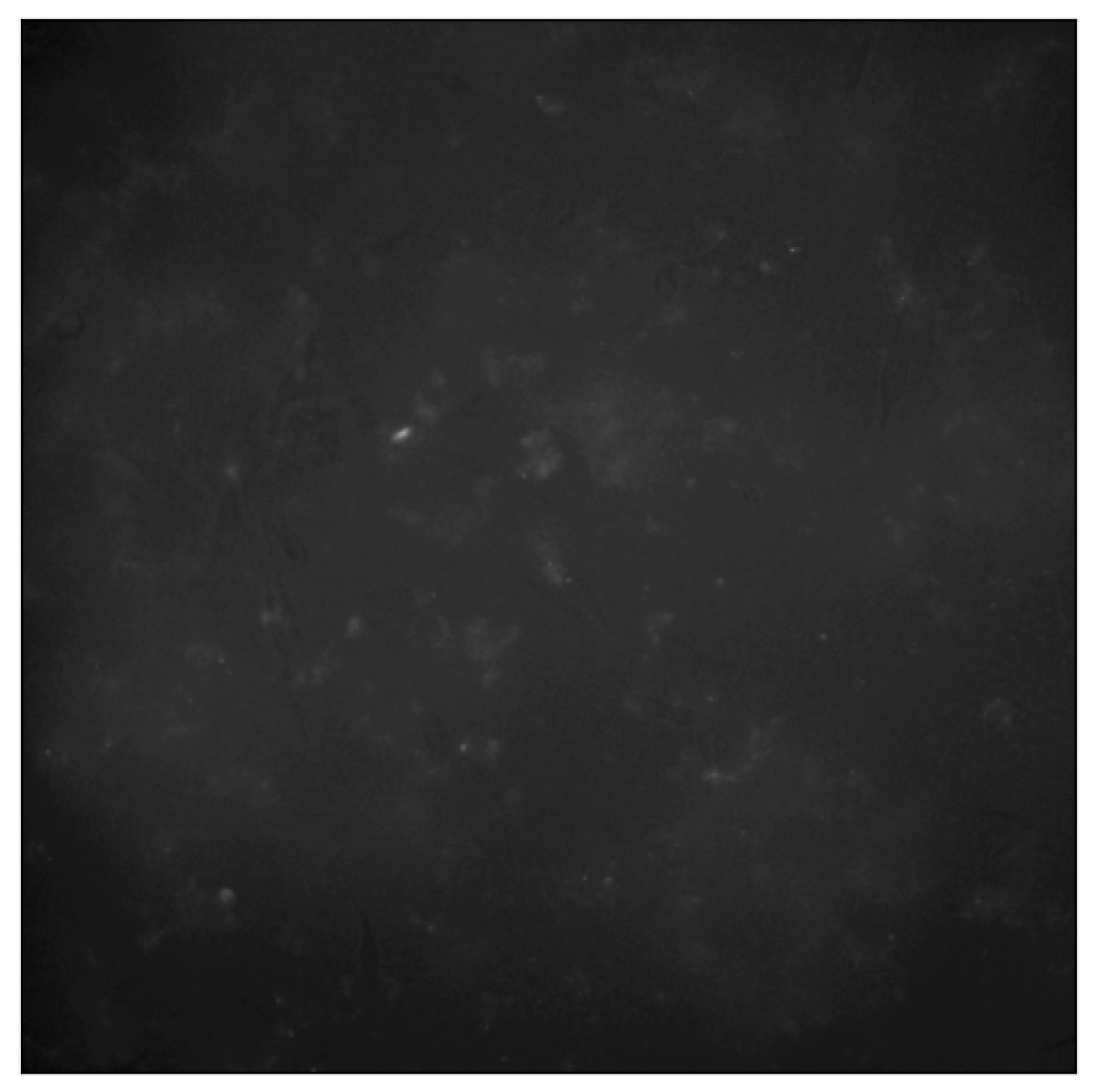 Electronics 14 03418 g001 Electronics 14 03418 g001