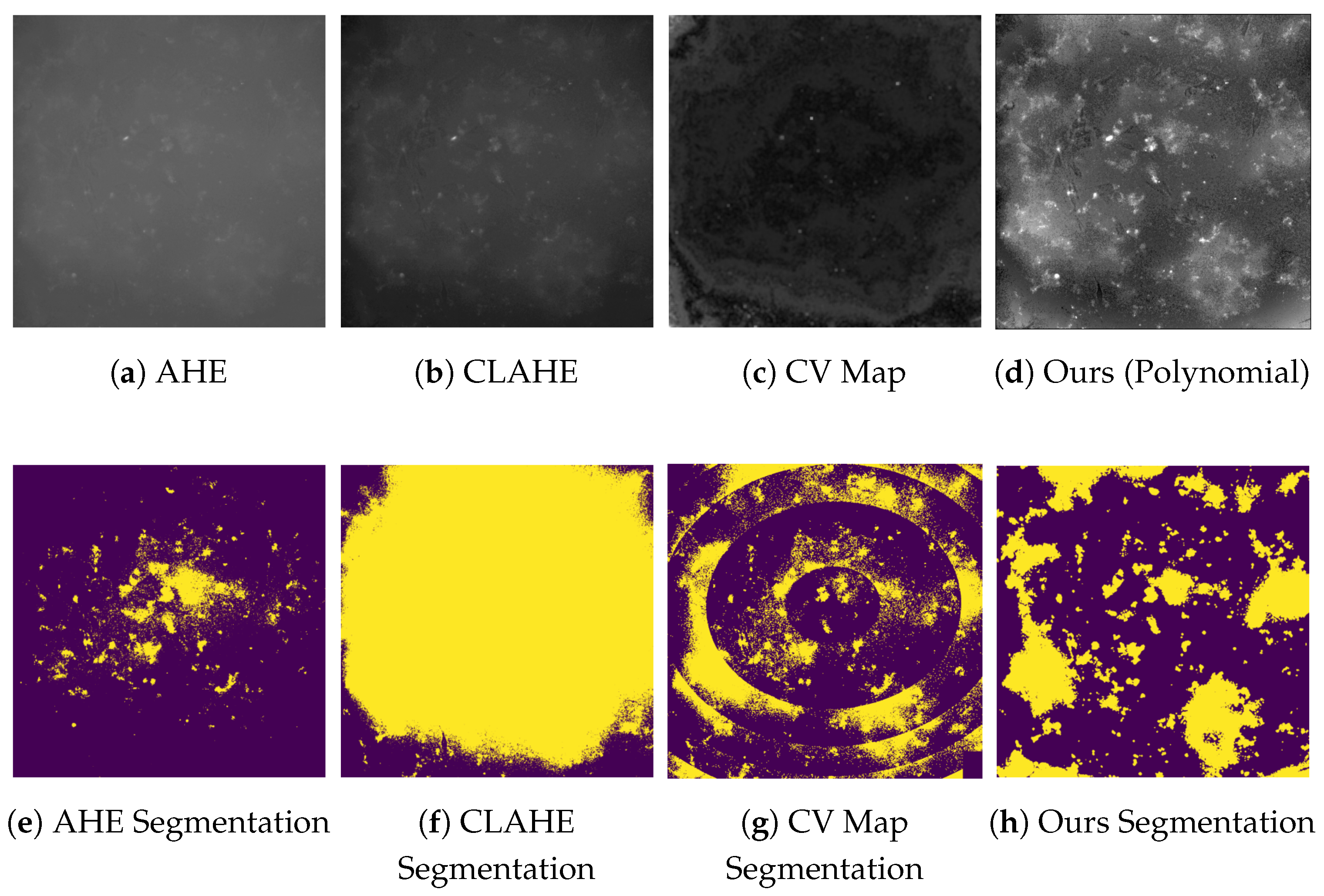 Electronics 14 03418 g004 Electronics 14 03418 g004