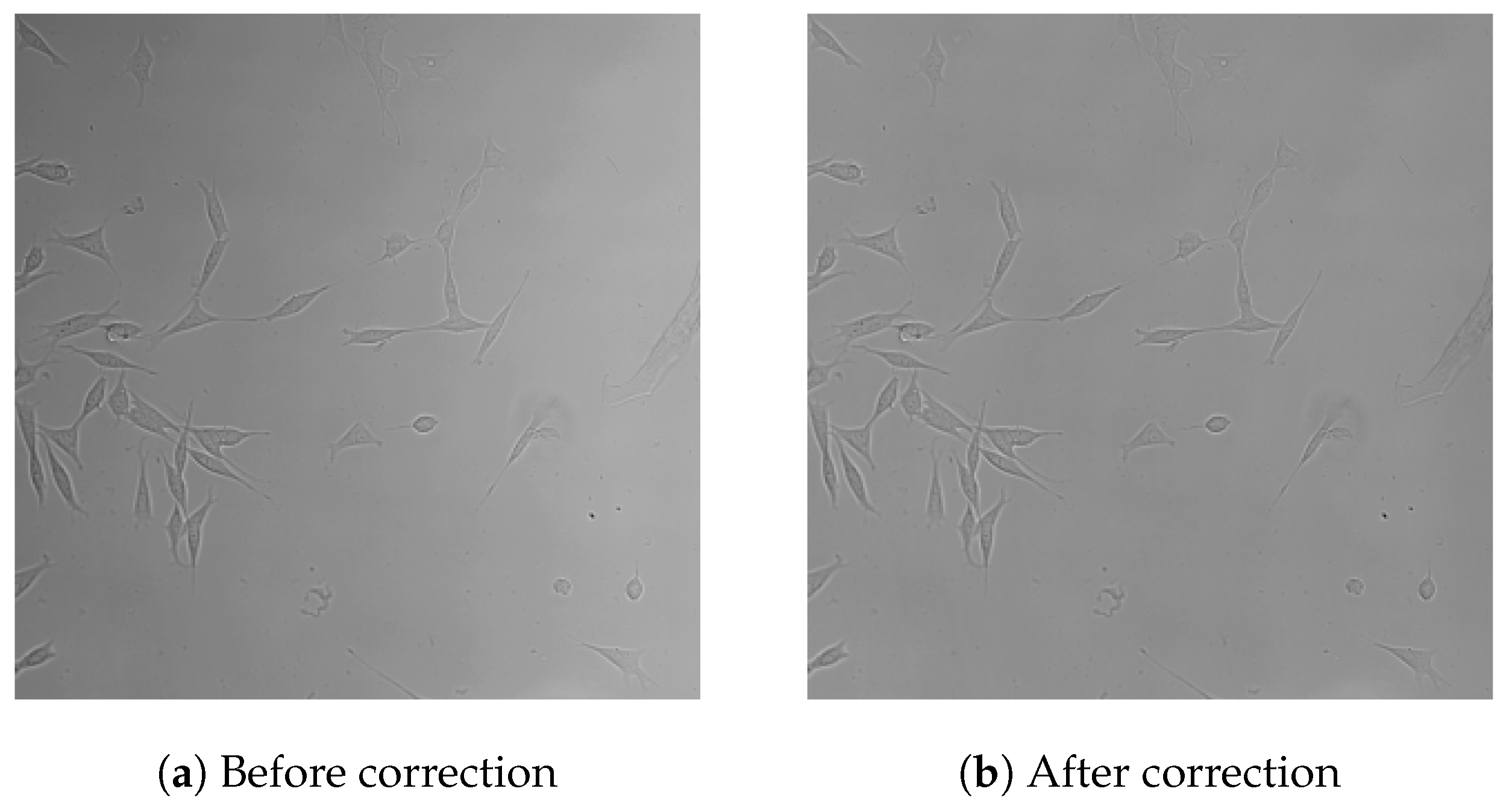 Electronics 14 03418 g005 Electronics 14 03418 g005