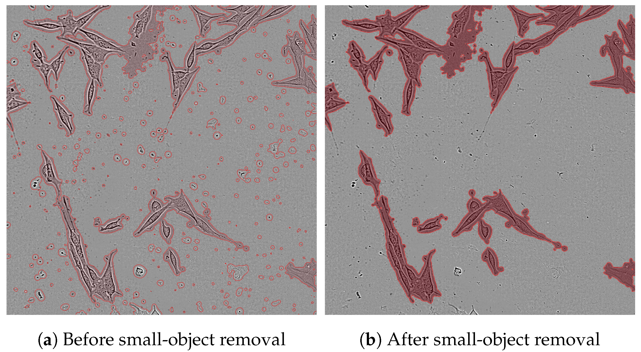 Electronics 14 03418 g012 Electronics 14 03418 g012