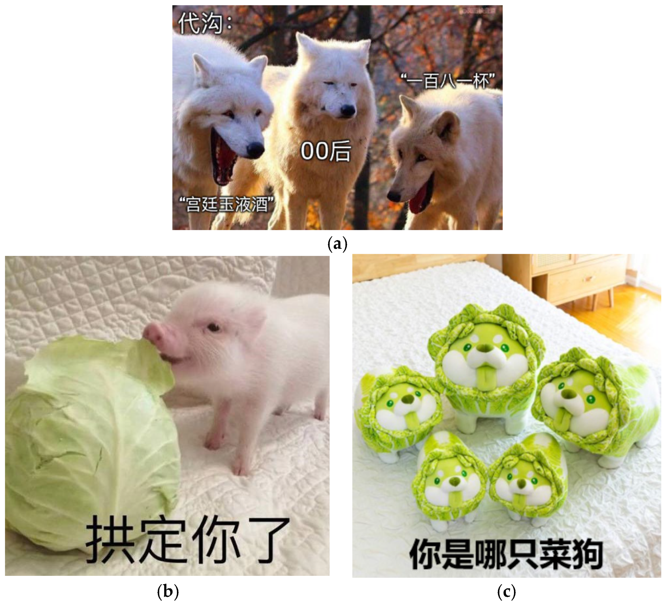 Electronics 14 03504 g001 Electronics 14 03504 g001