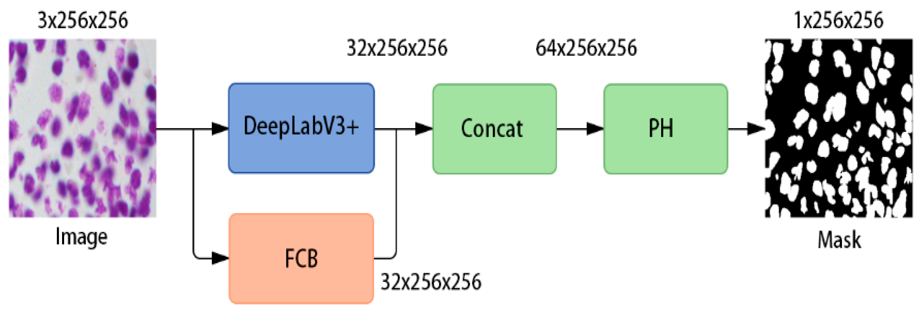 Electronics 14 03507 g001