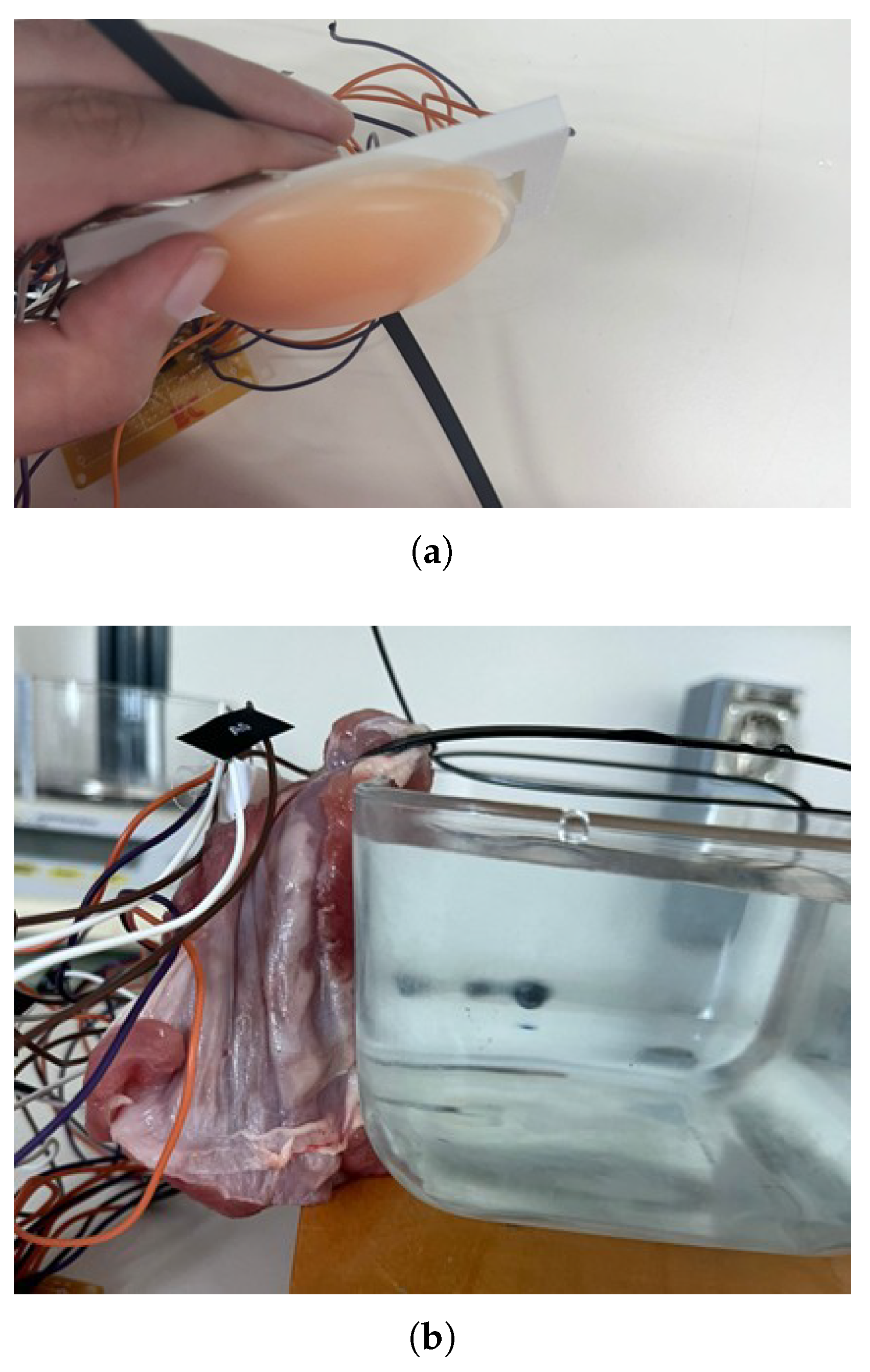 Electronics 14 03525 g005