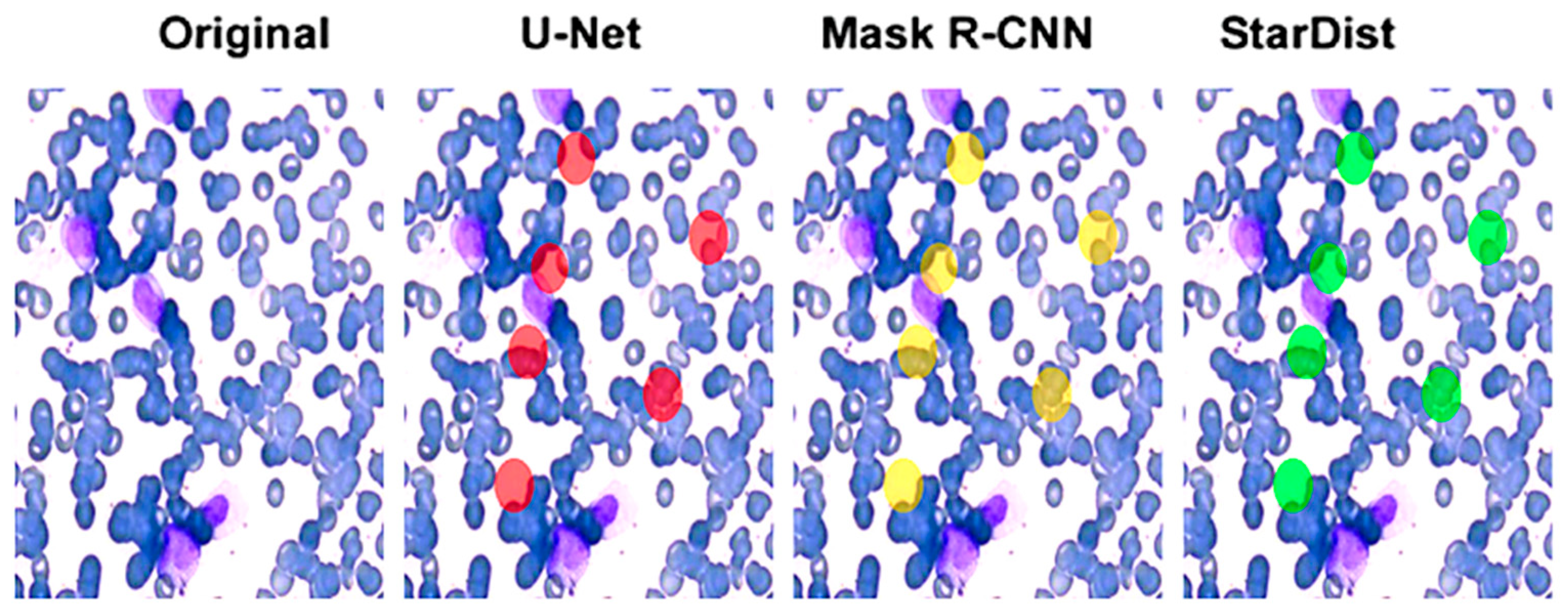 Electronics 14 03538 g005 Electronics 14 03538 g005