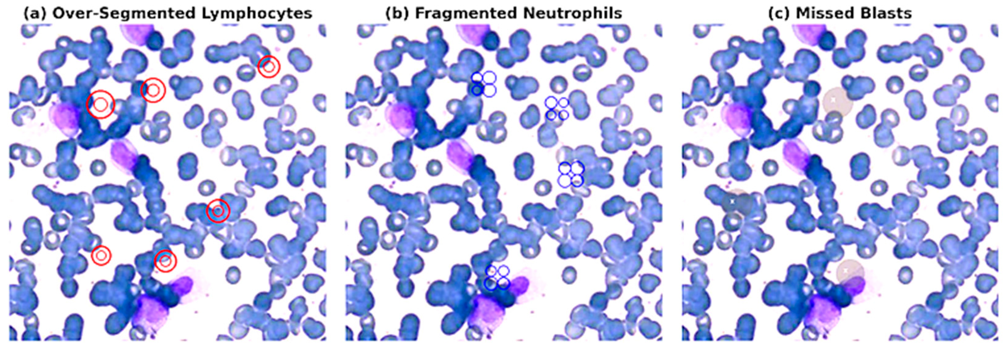 Electronics 14 03538 g006 Electronics 14 03538 g006