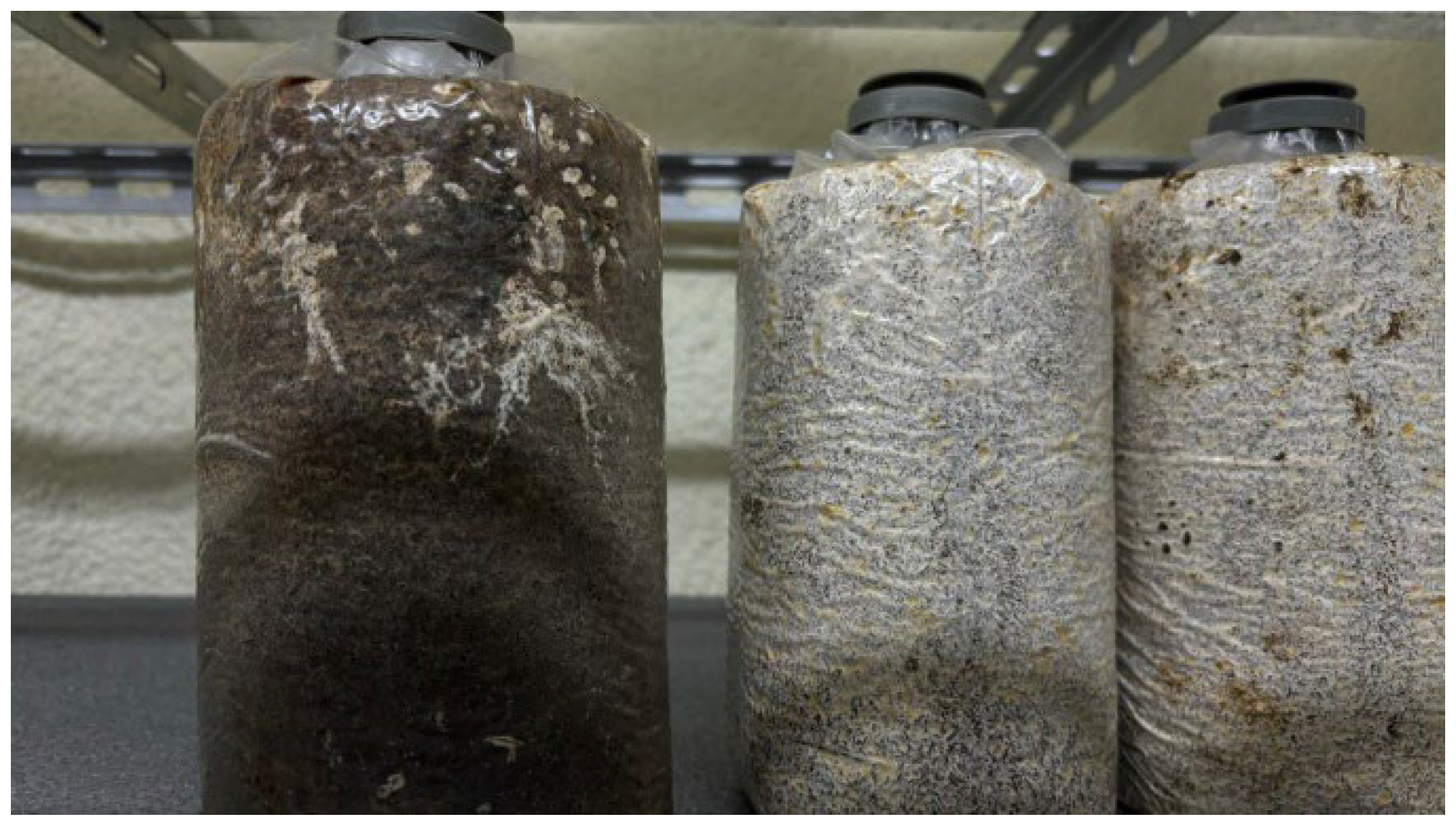 Electronics 14 03594 g010