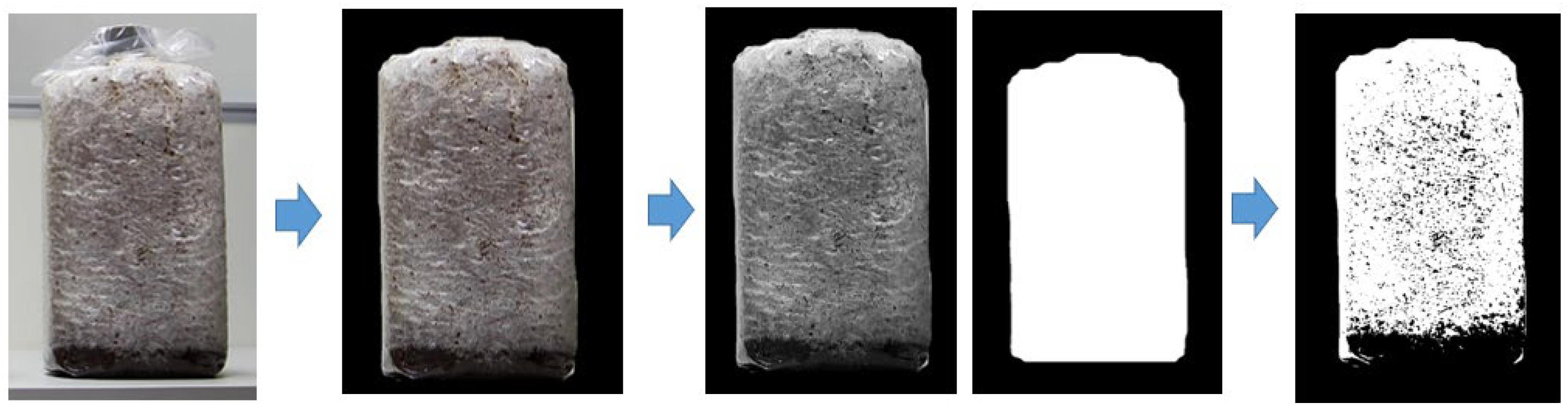 Electronics 14 03594 g012