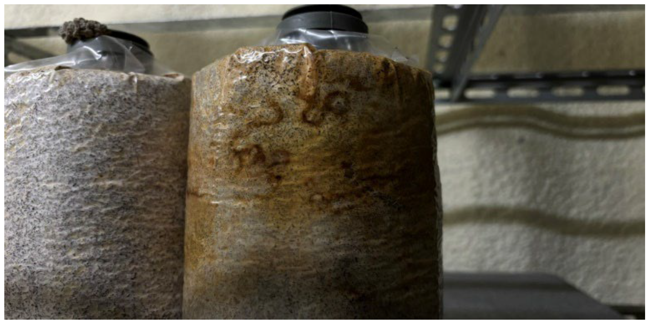 Electronics 14 03594 g013