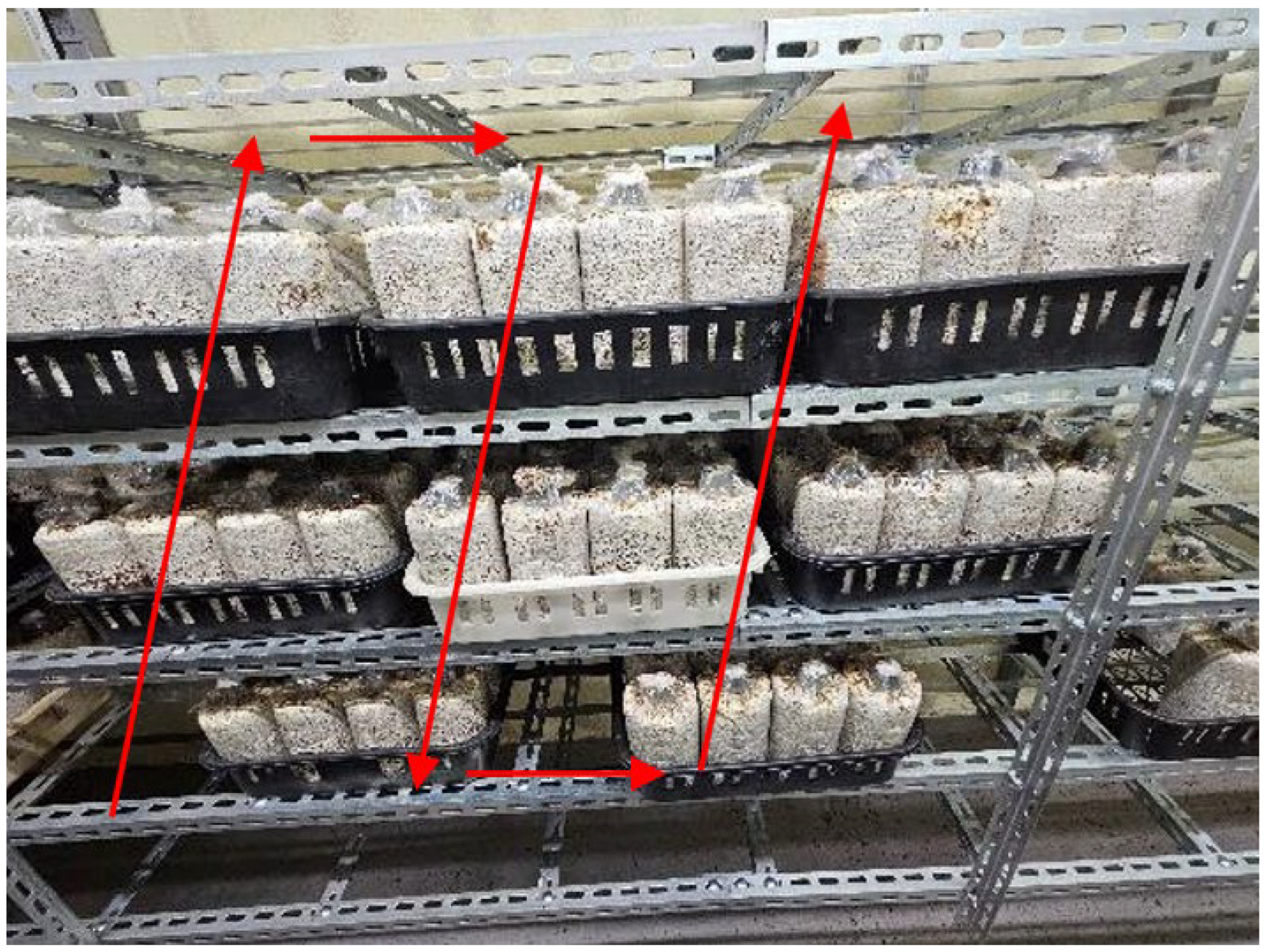 Electronics 14 03594 g020