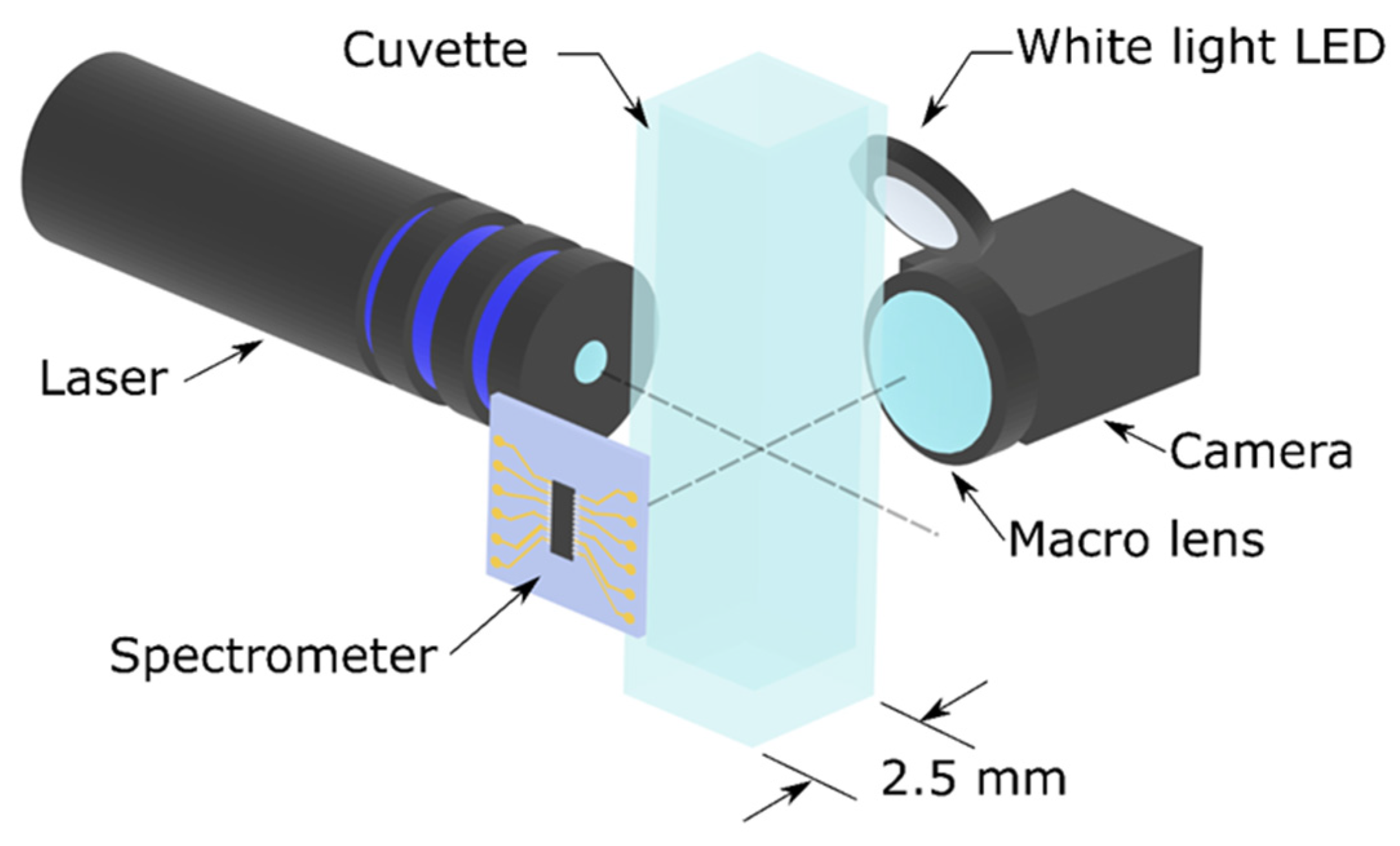 Electronics 14 03625 g001