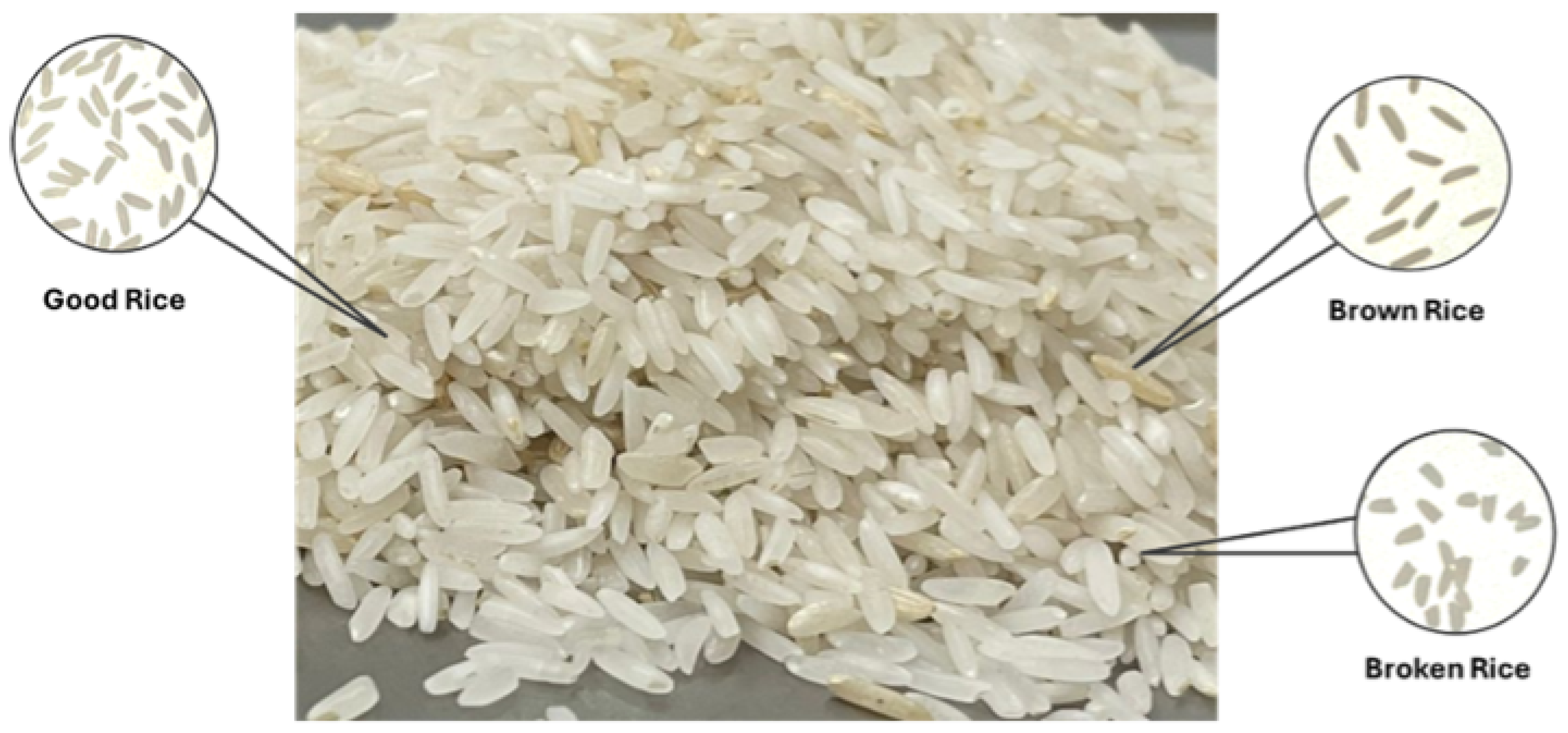 Electronics 14 03691 g001 Electronics 14 03691 g001