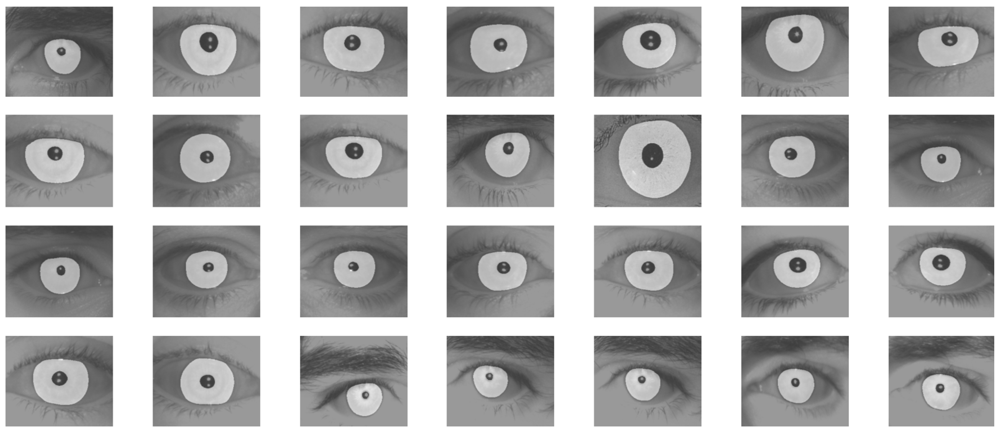 Electronics 14 03698 g013