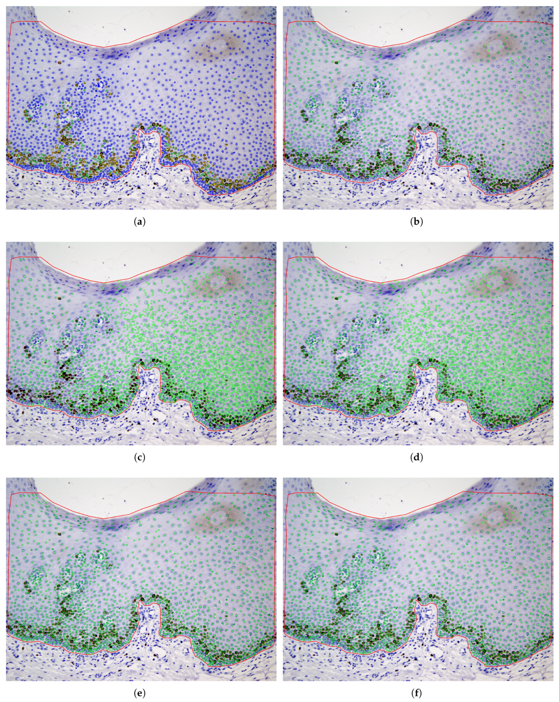 Electronics 14 03705 g008 Electronics 14 03705 g008