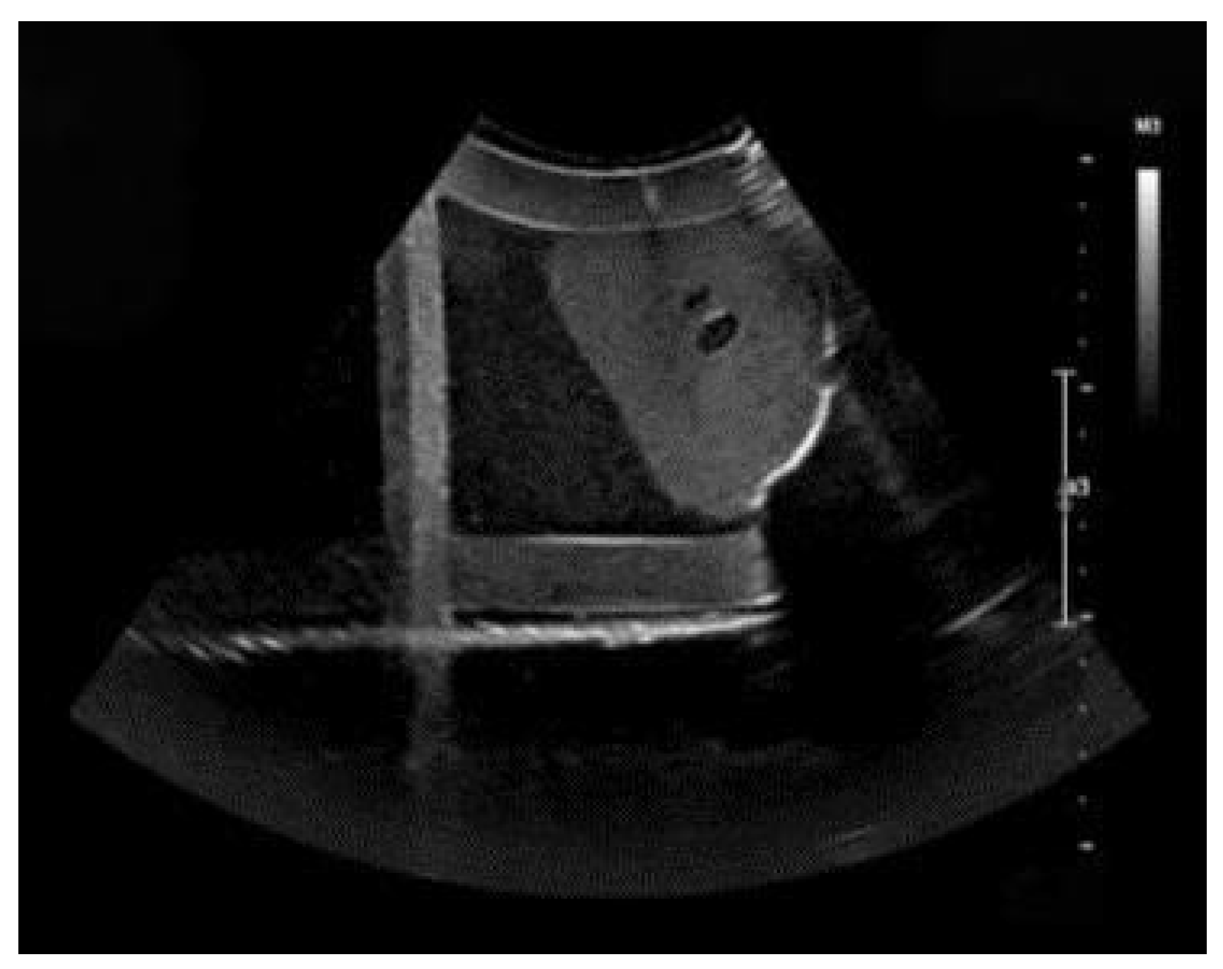 Electronics 14 03709 g012 Electronics 14 03709 g012