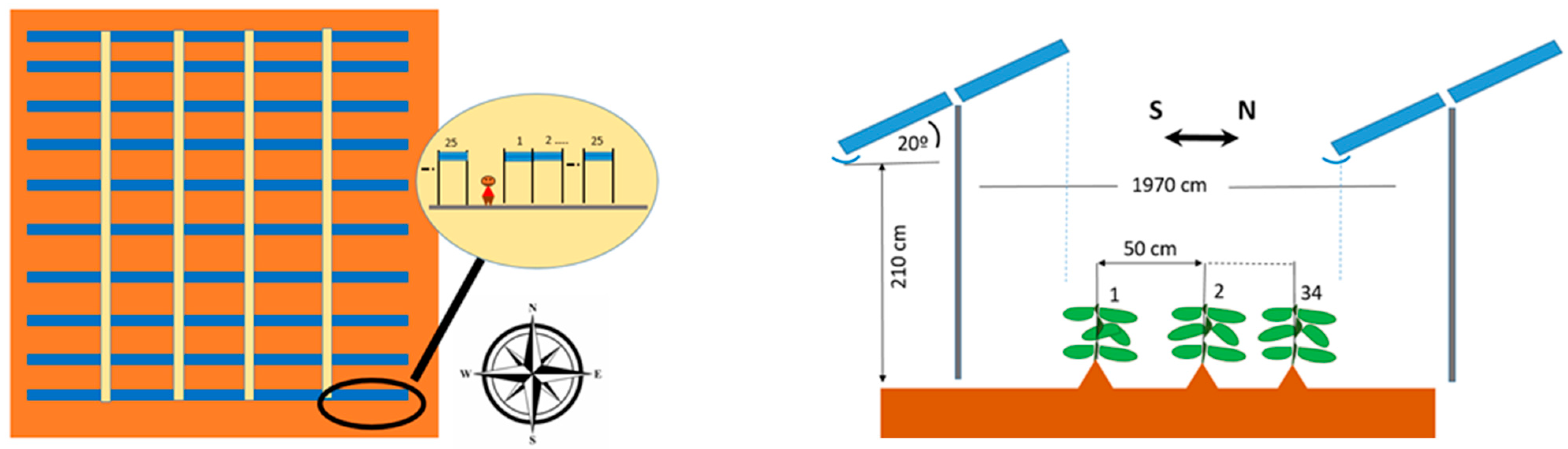 Electronics 14 03848 g002