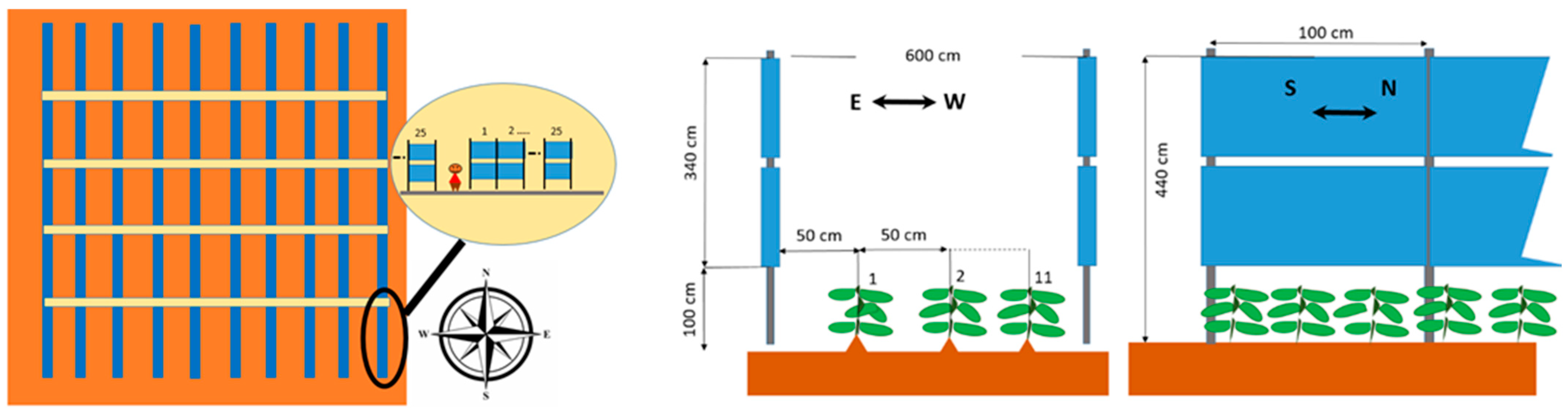 Electronics 14 03848 g003