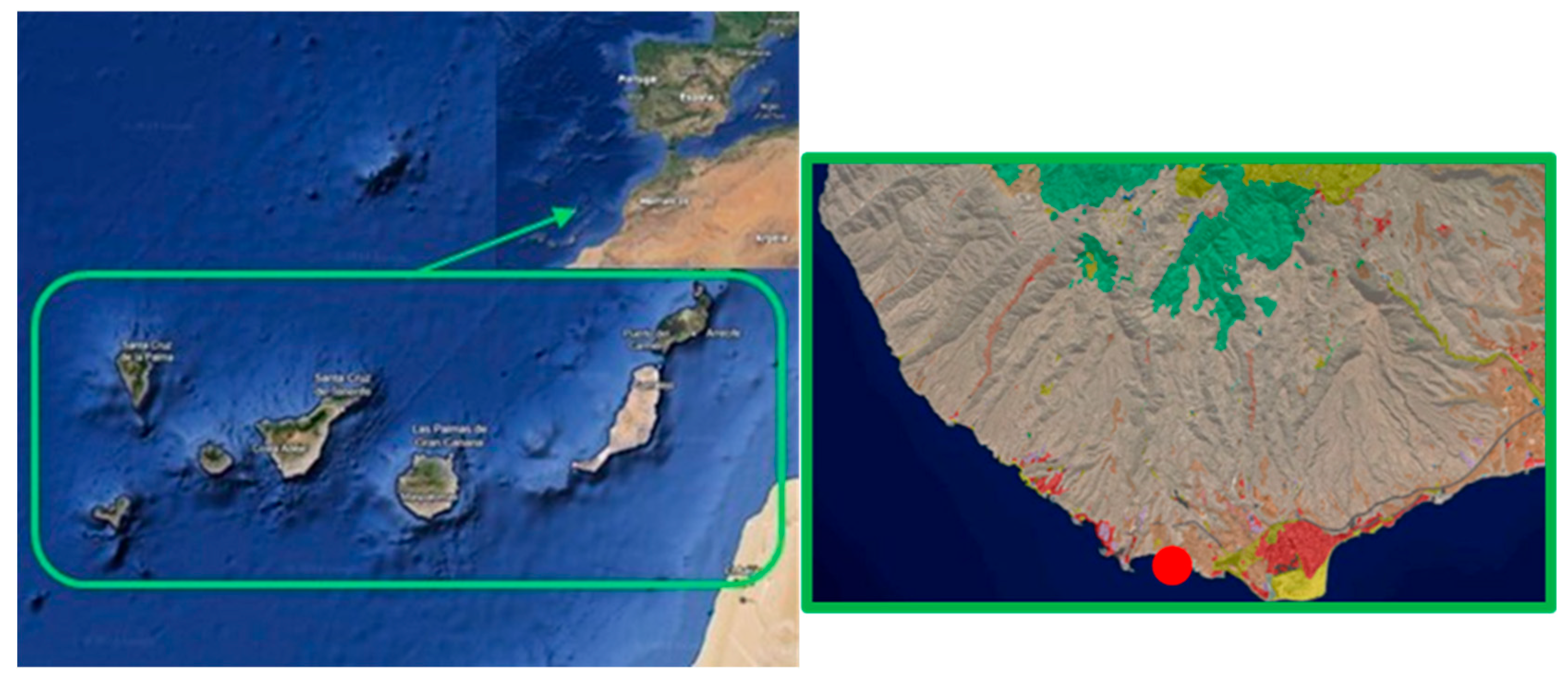 Electronics 14 03848 g004
