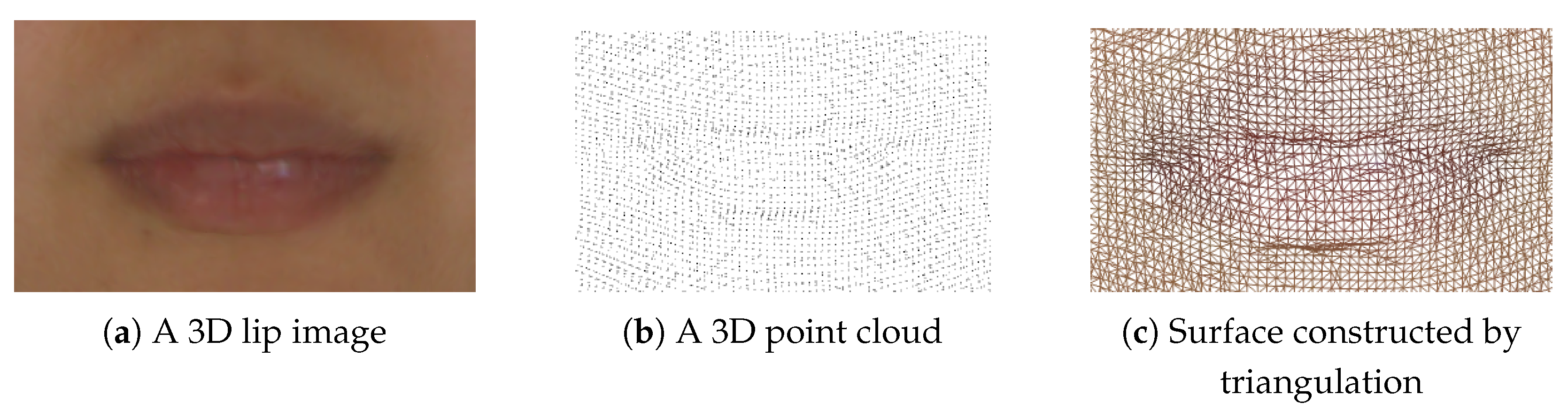 Electronics 14 03907 g001