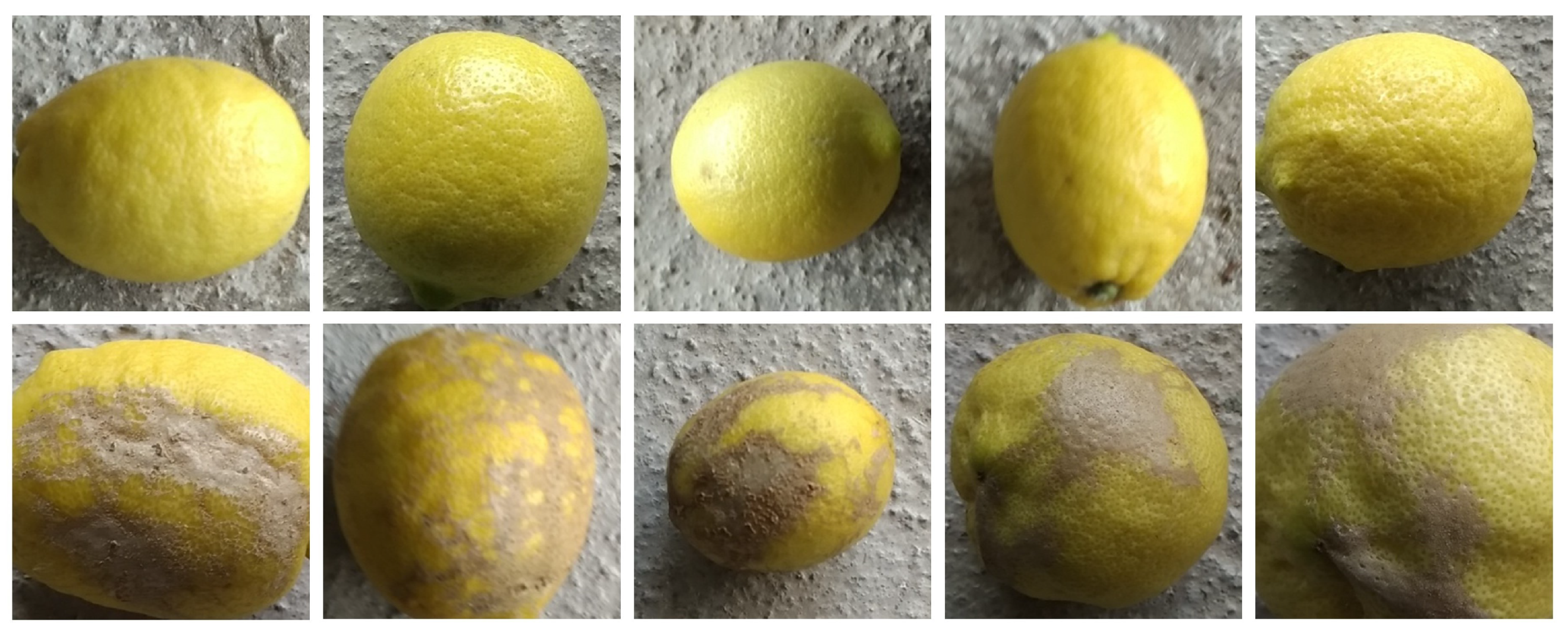 Electronics 14 03928 g004 Electronics 14 03928 g004