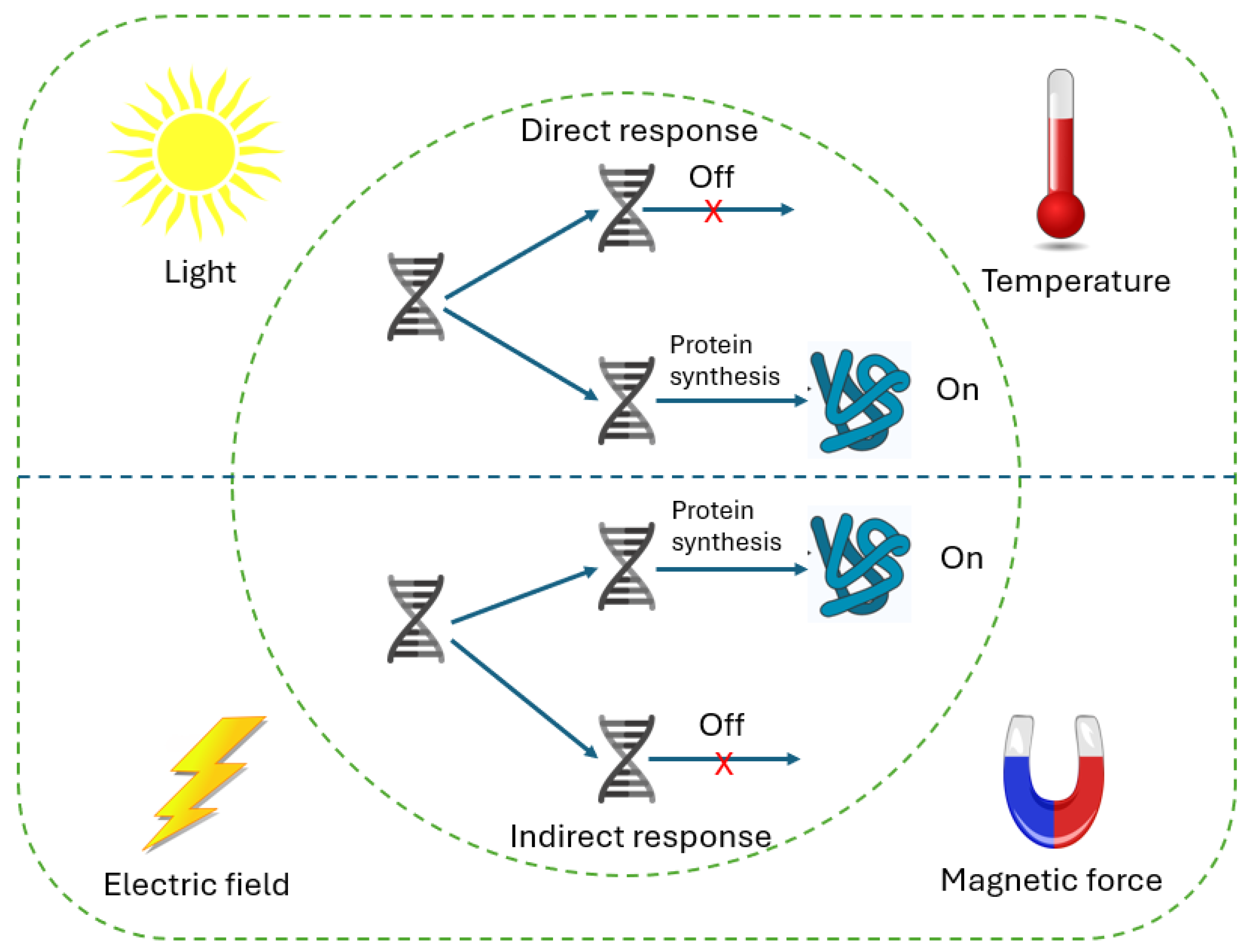 Electronics 14 03996 g005