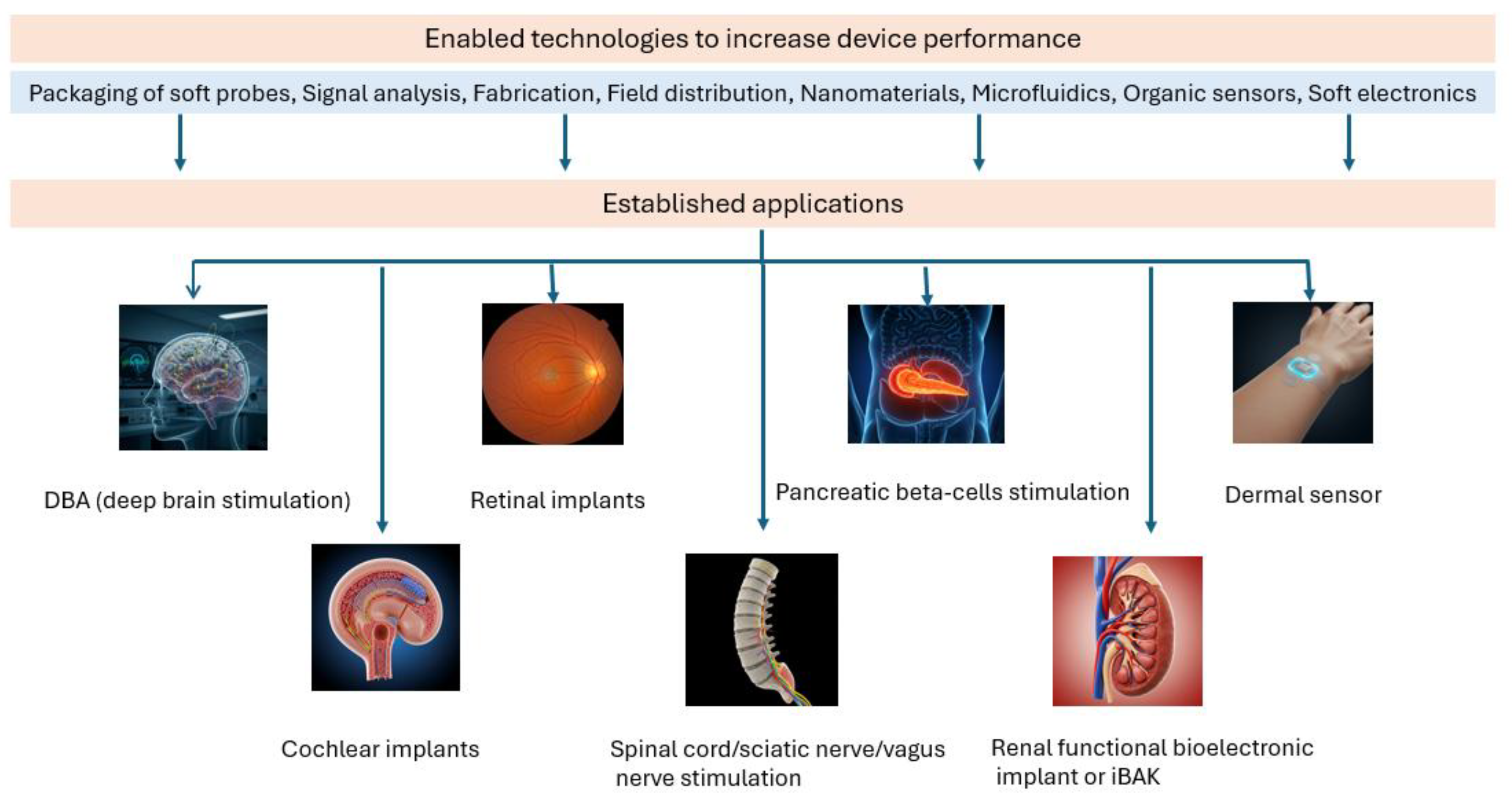 Electronics 14 03996 g006