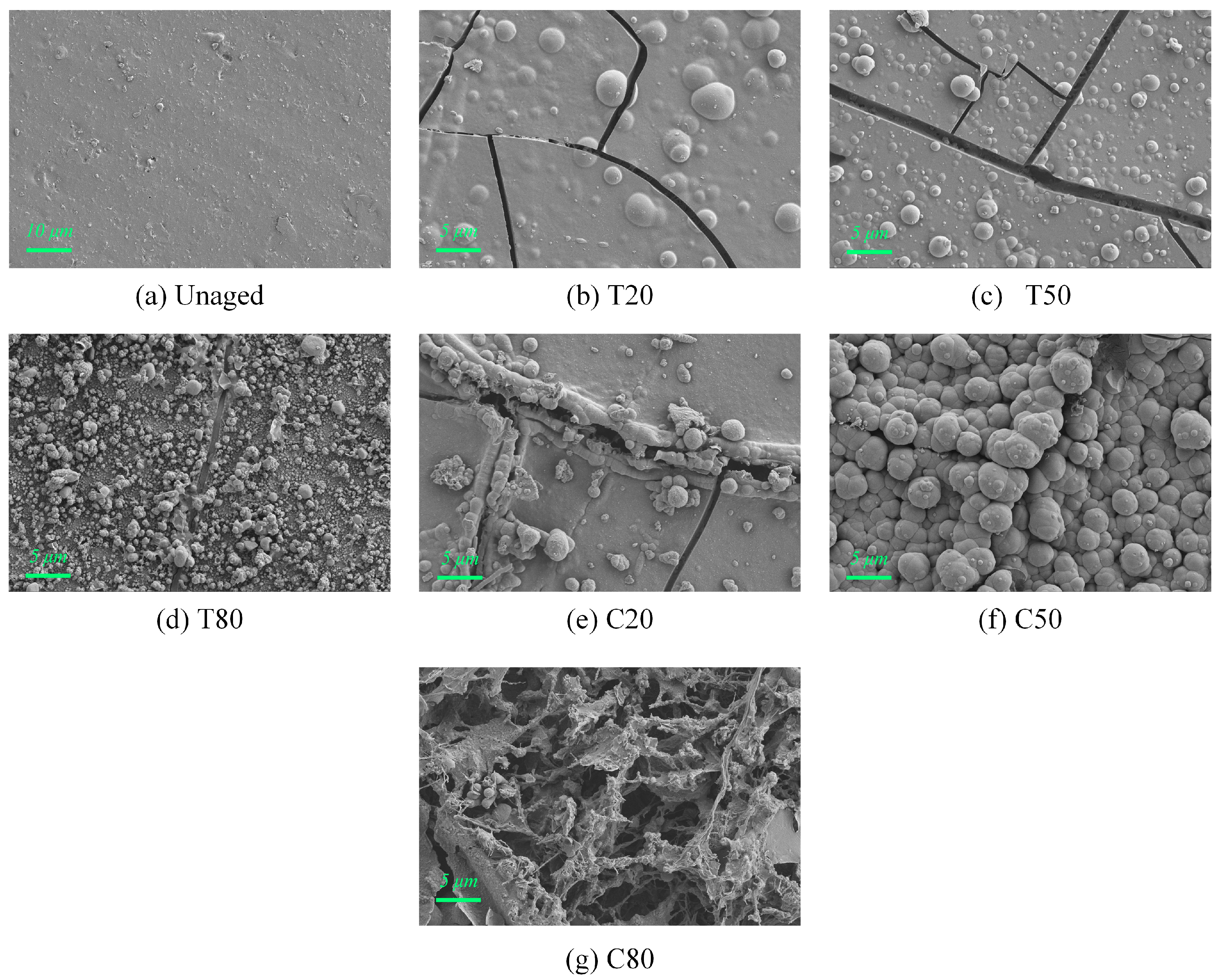 Electronics 14 04071 g003 Electronics 14 04071 g003