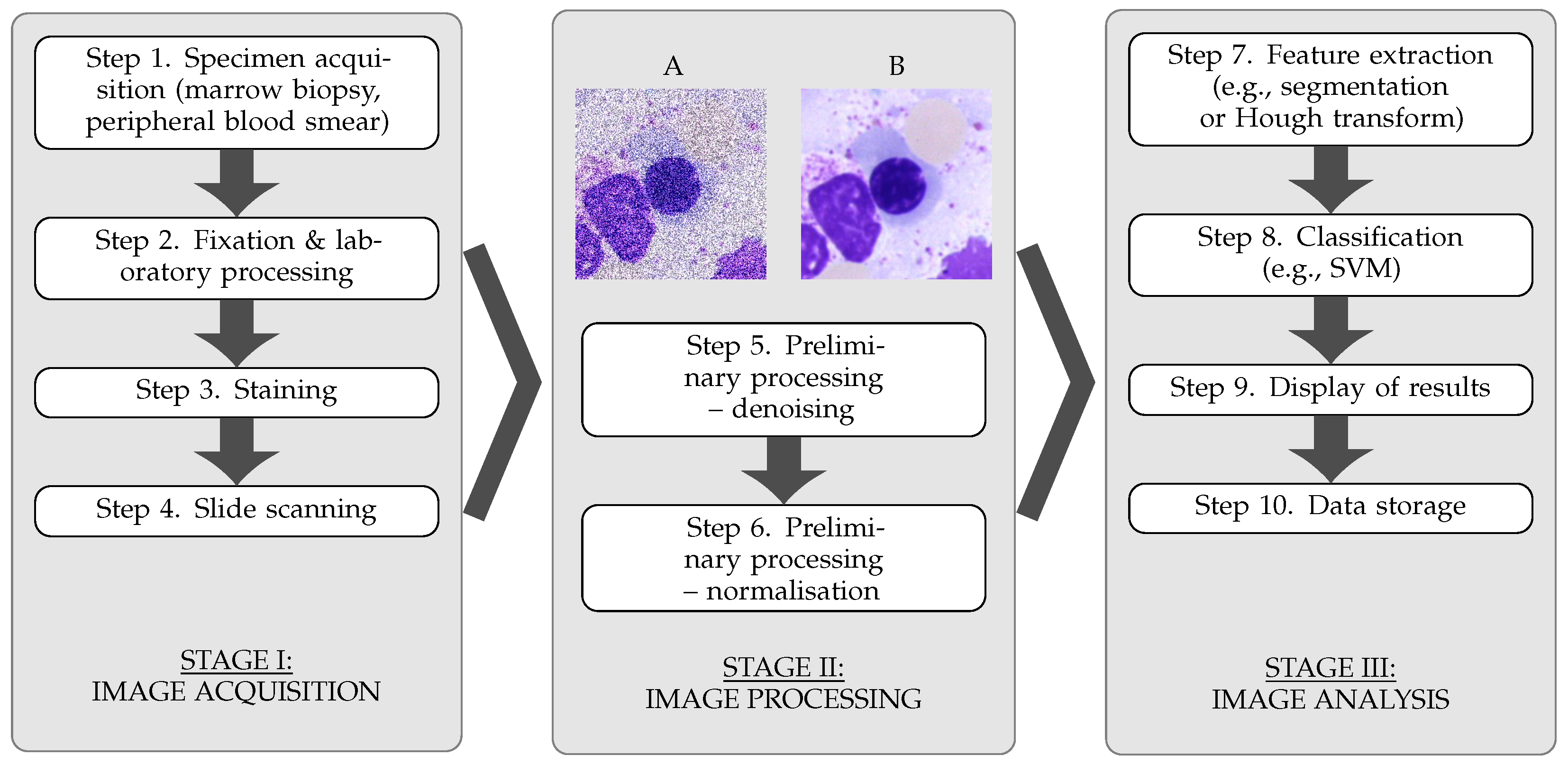 Electronics 14 04144 g001 Electronics 14 04144 g001