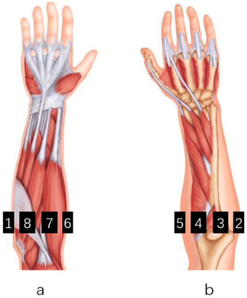 Electronics 14 04374 g003