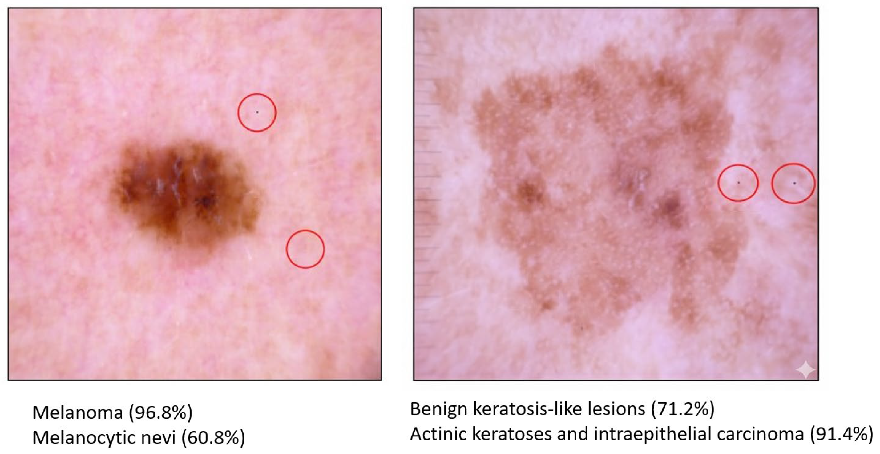 Electronics 14 04384 g010