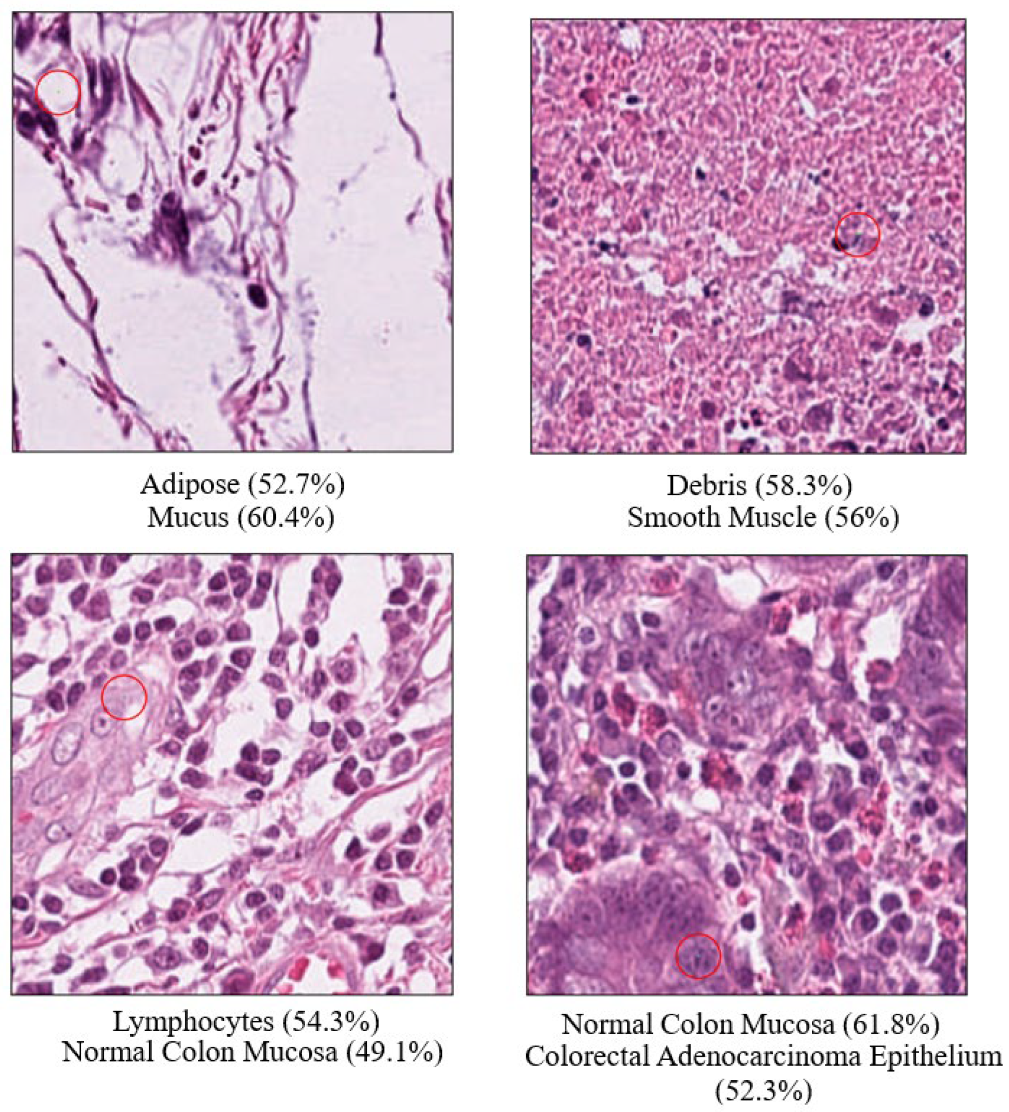 Electronics 14 04384 g012