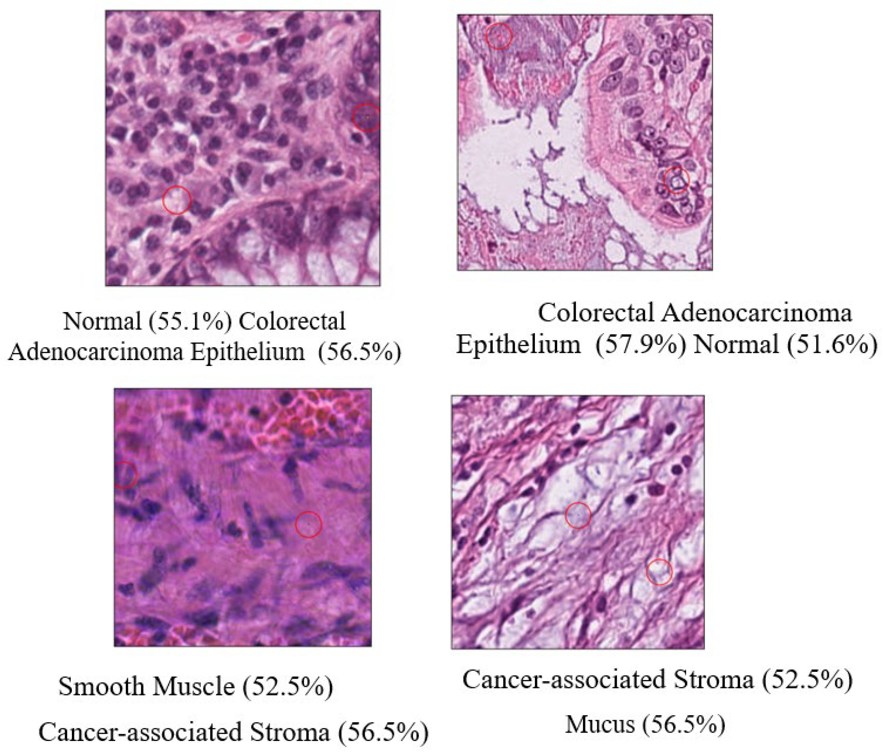 Electronics 14 04384 g013