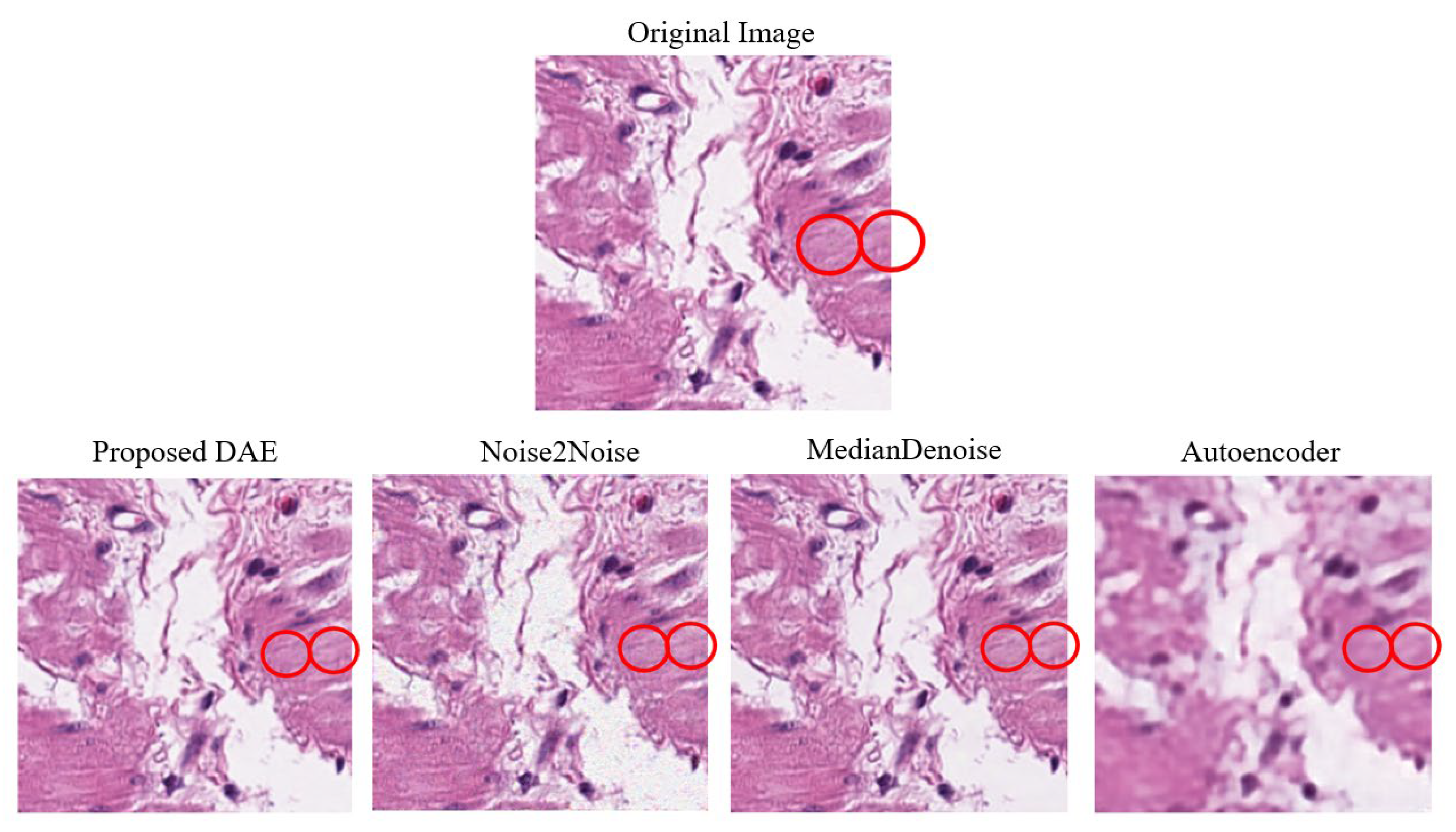 Electronics 14 04384 g022