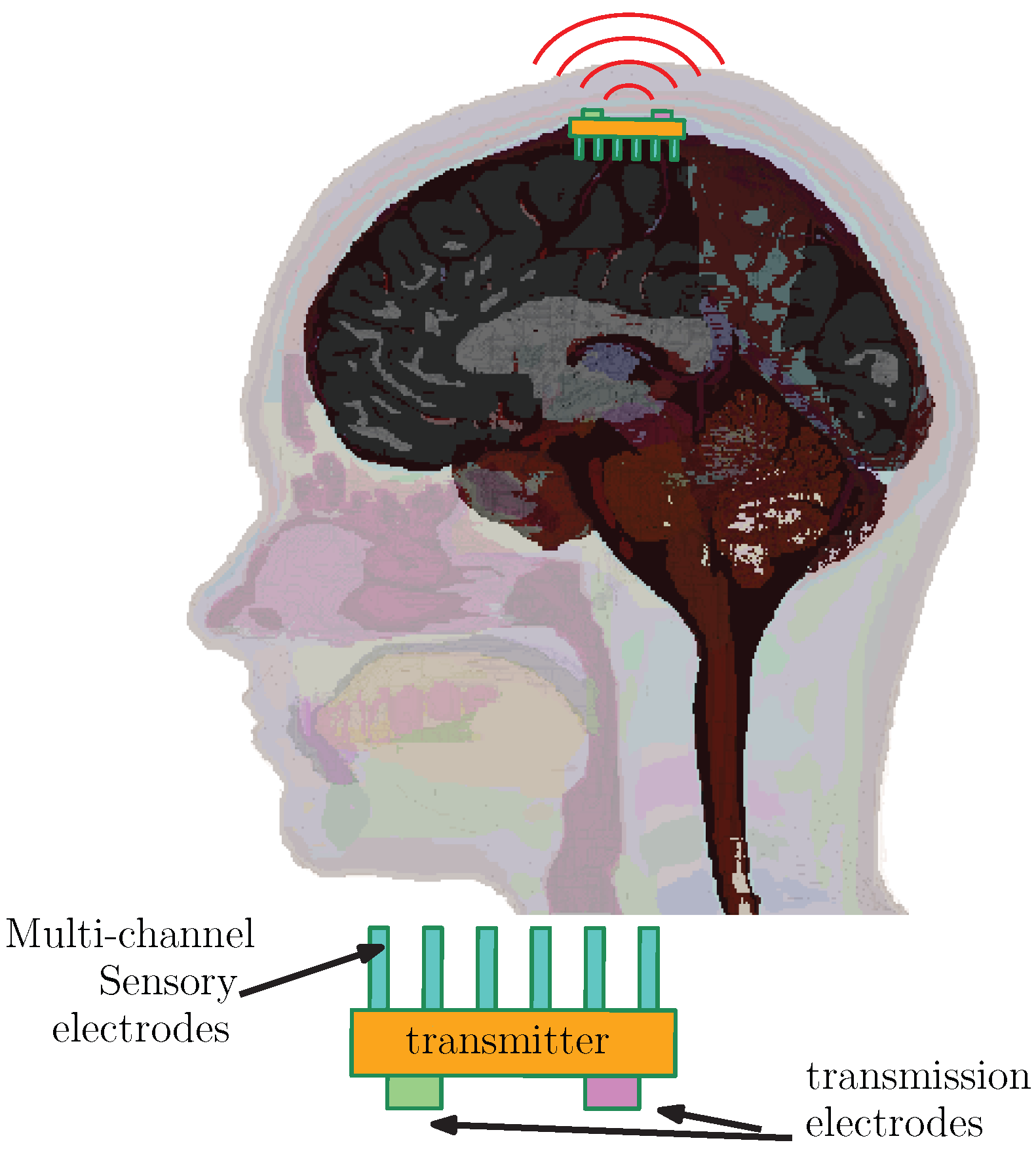 Electronics 14 04410 g001