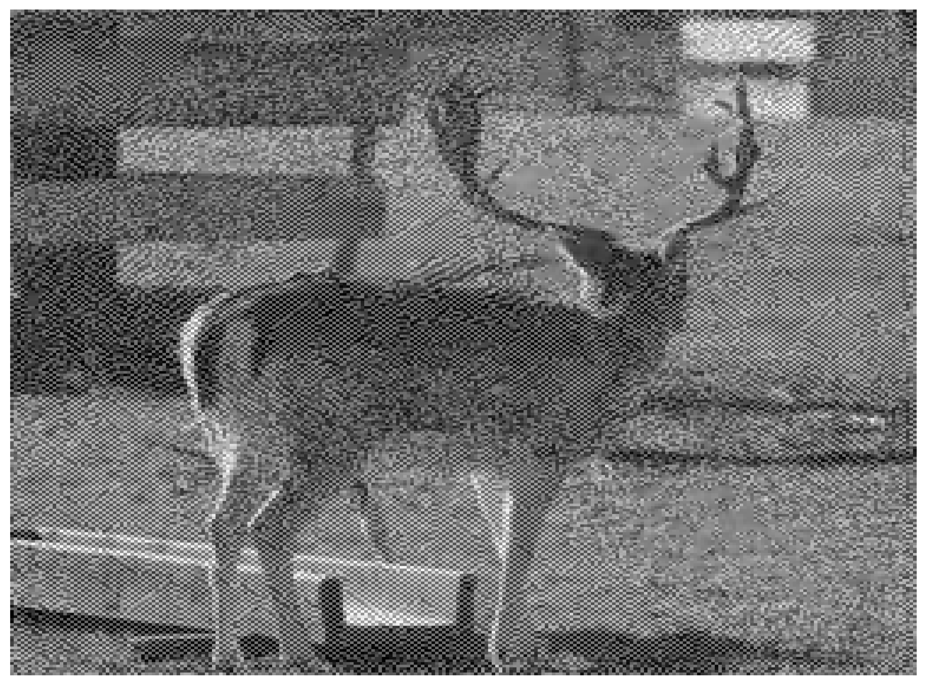 Electronics 14 04422 i007