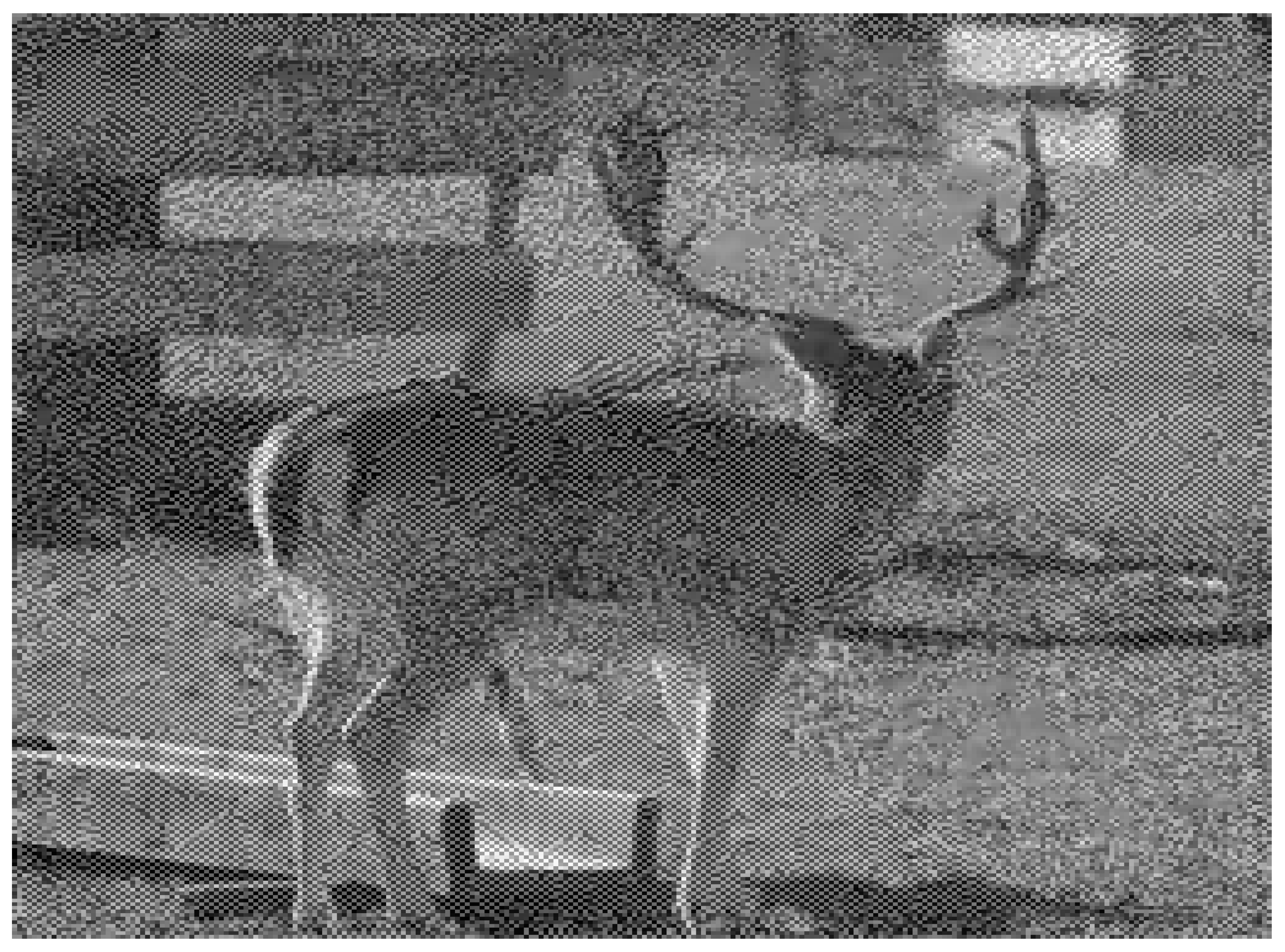 Electronics 14 04422 i011