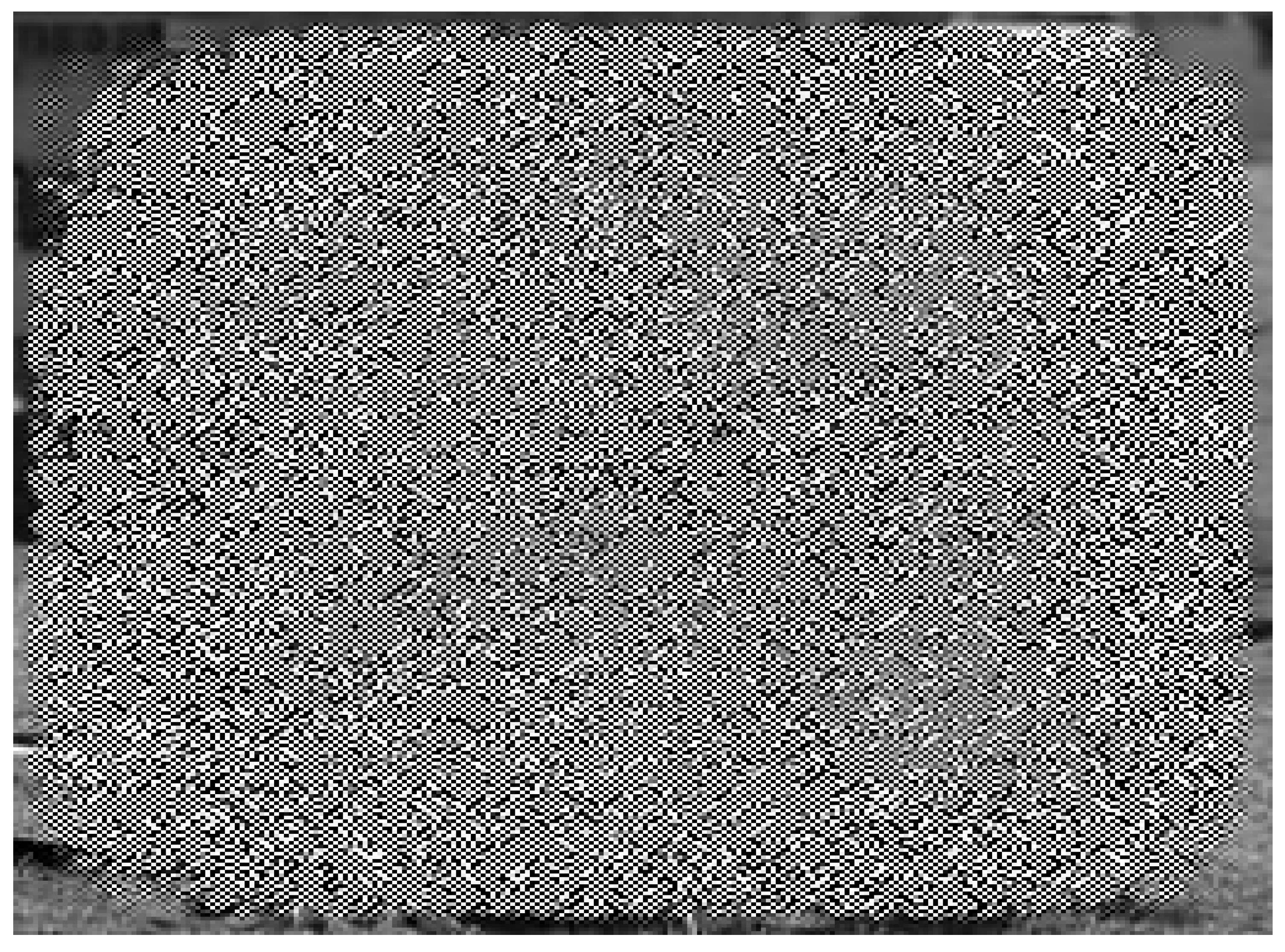 Electronics 14 04422 i019