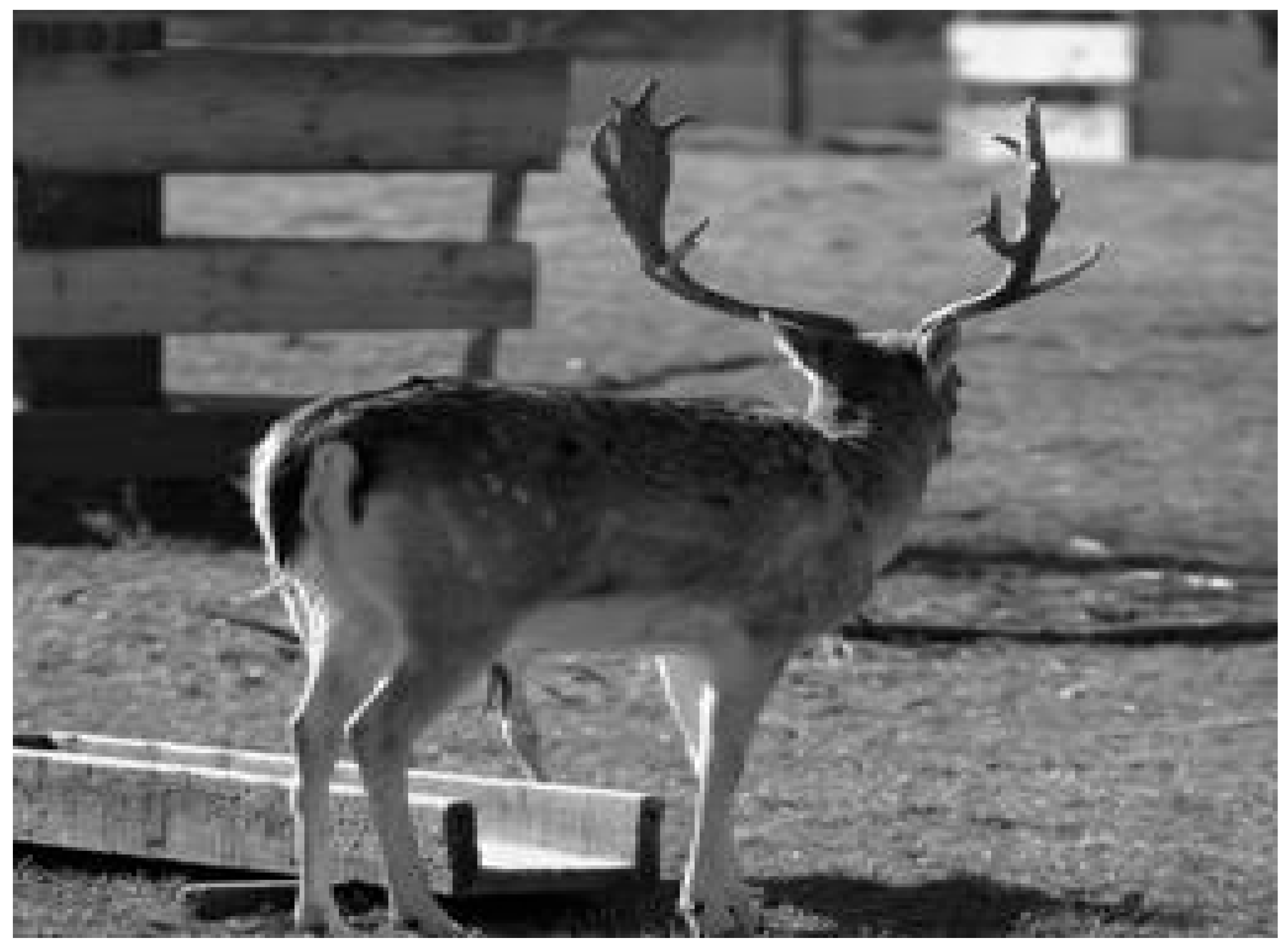 Electronics 14 04422 i034