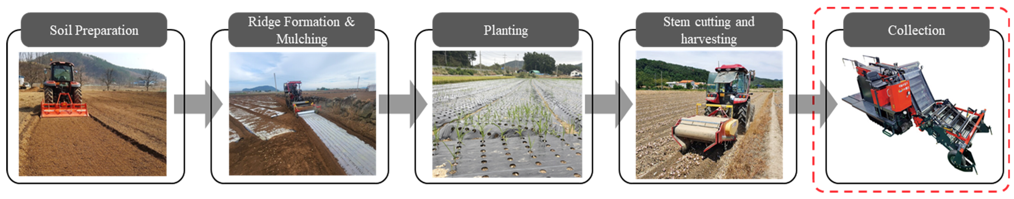 Electronics 14 04559 g004