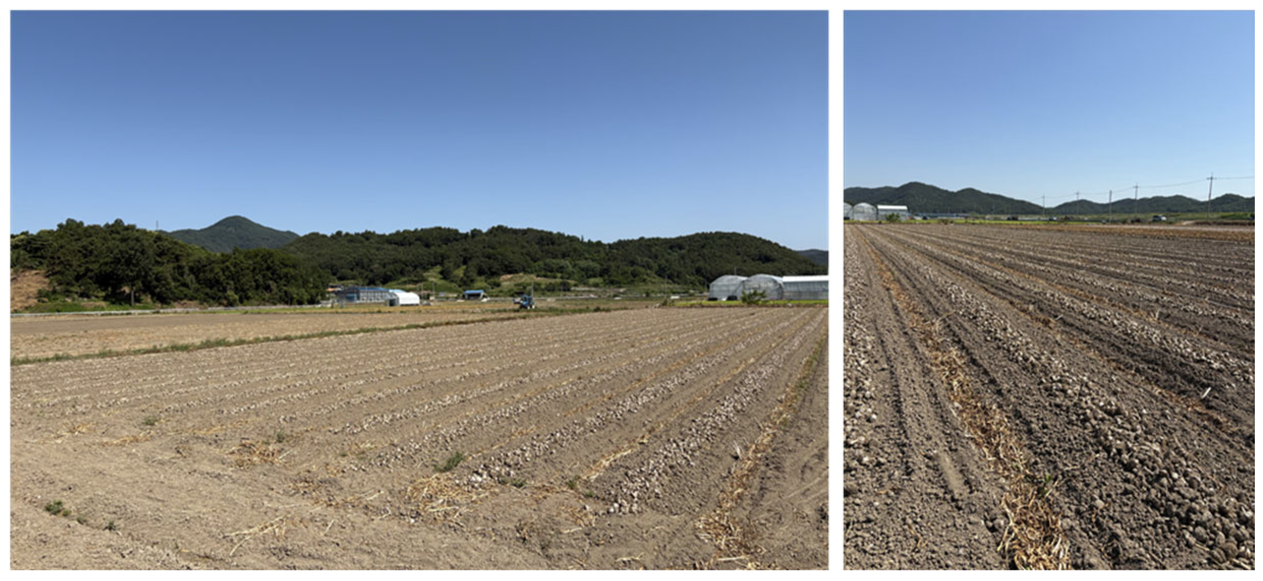 Electronics 14 04559 g005