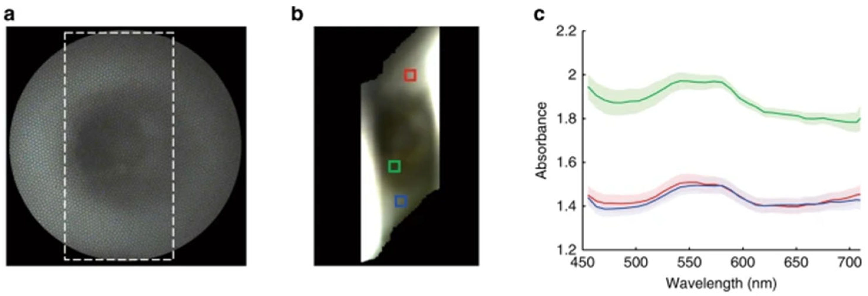 Electronics 14 04575 g005