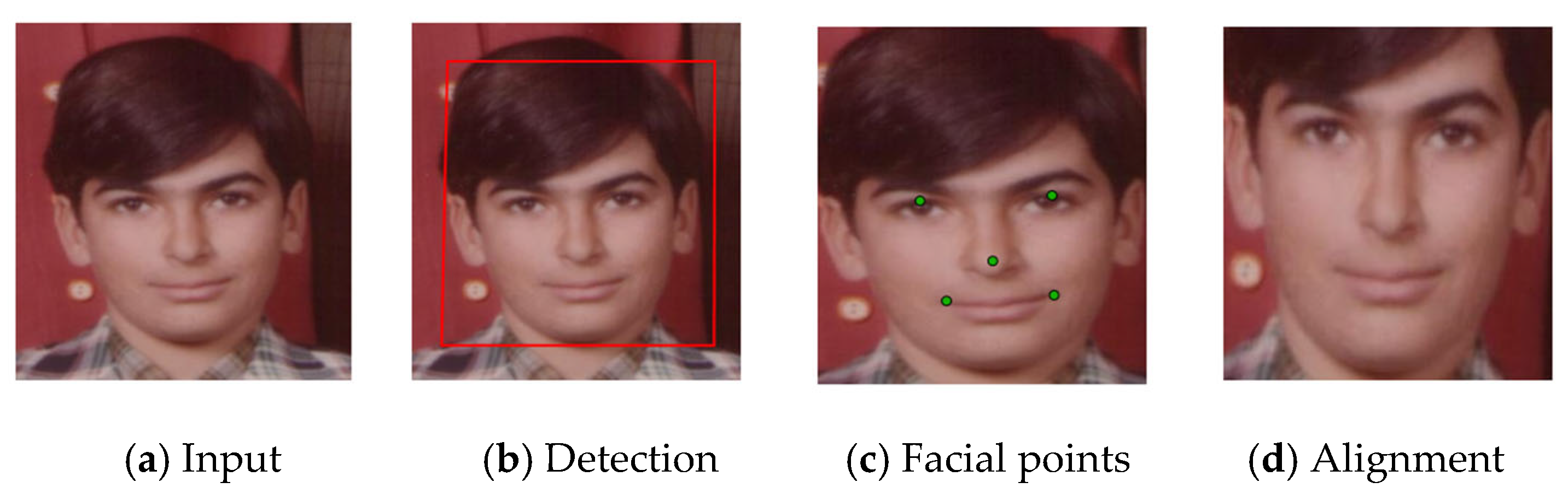 Electronics 14 04583 g002