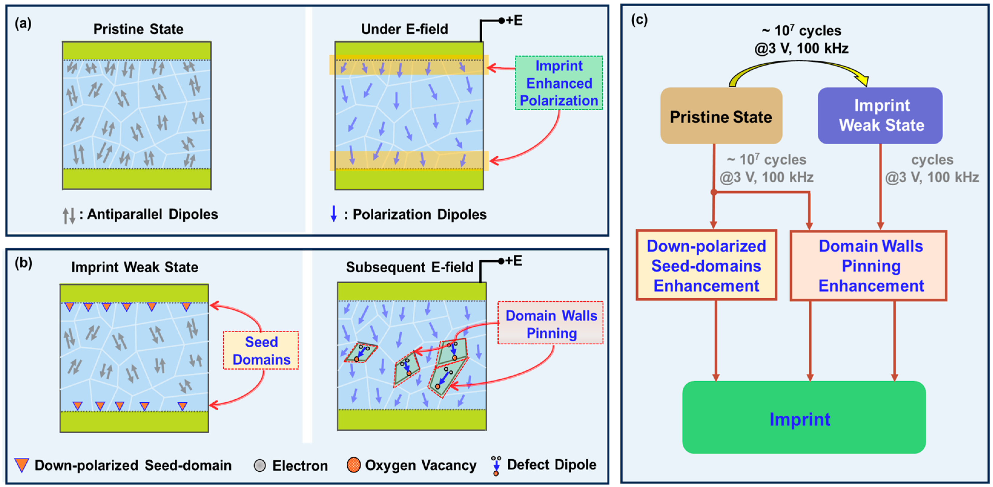 Electronics 14 04593 g006