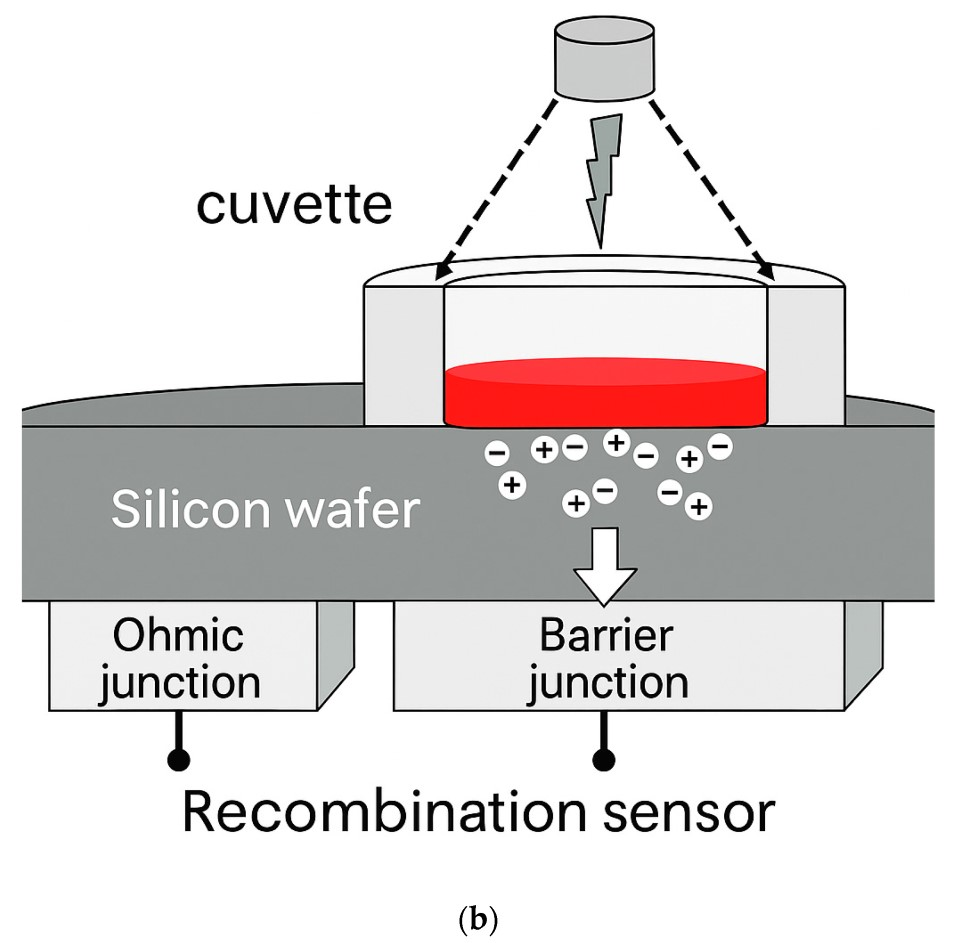 Electronics 14 04614 g001b