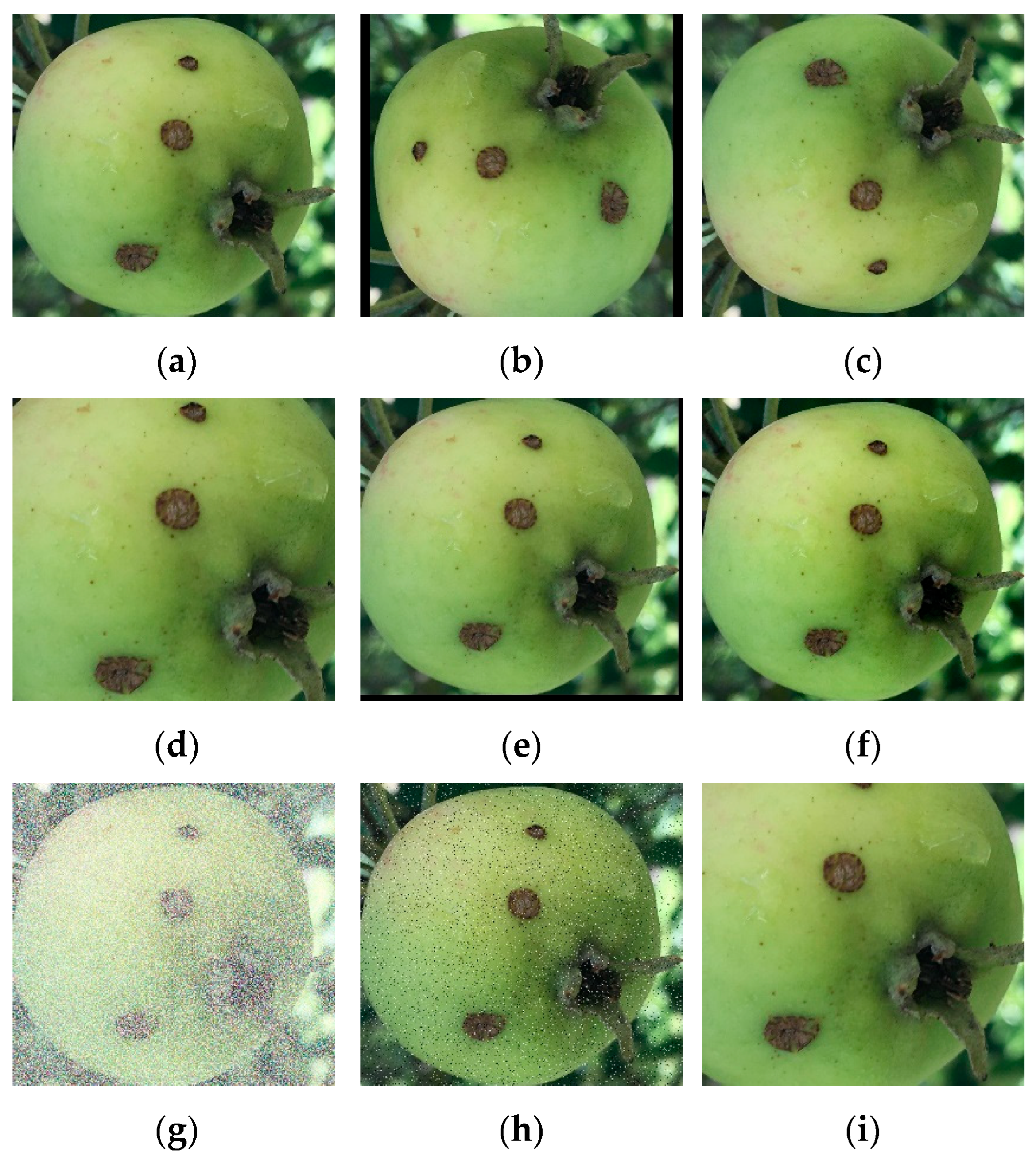 Electronics 14 04678 g004