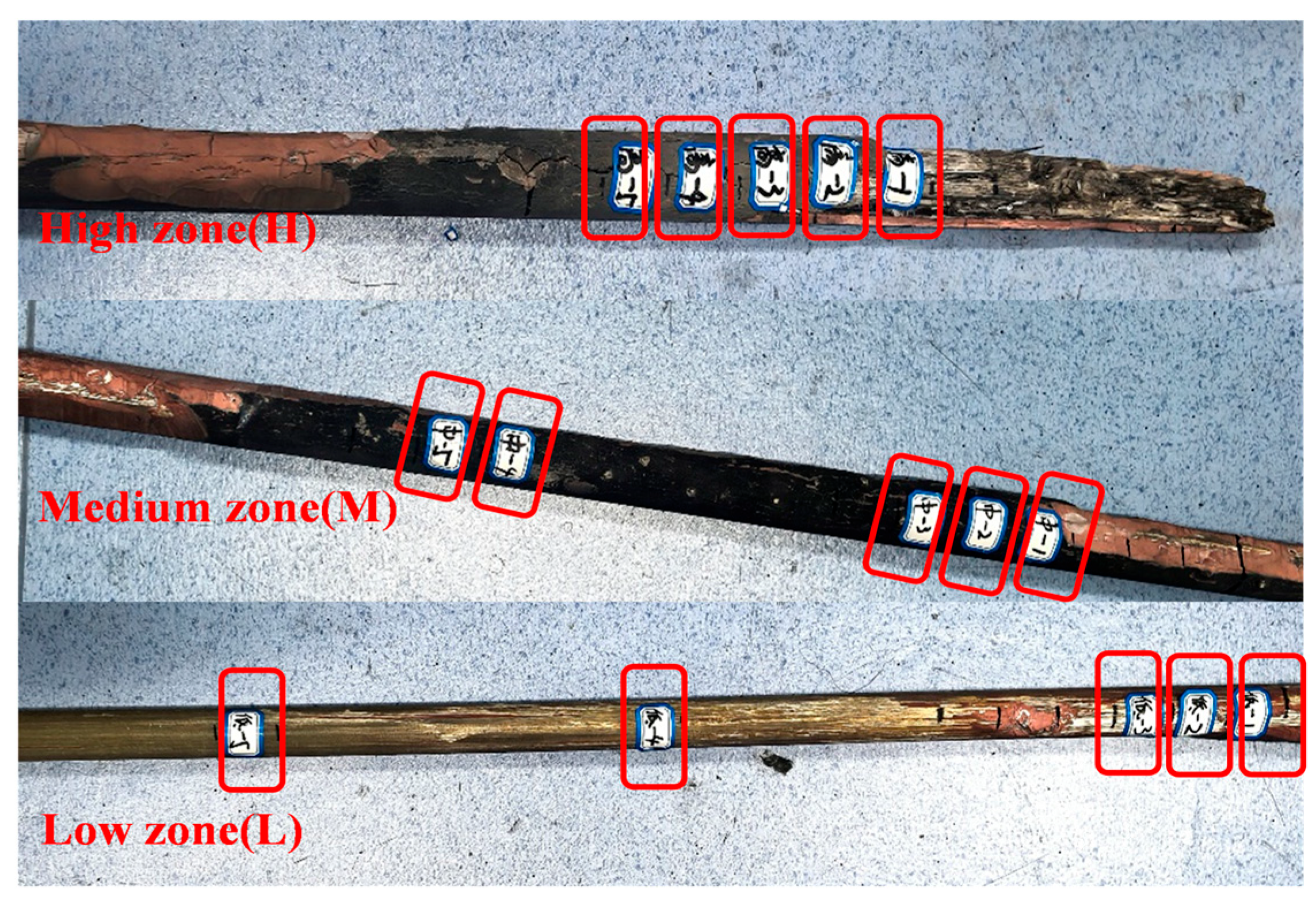 Electronics 14 04750 g004