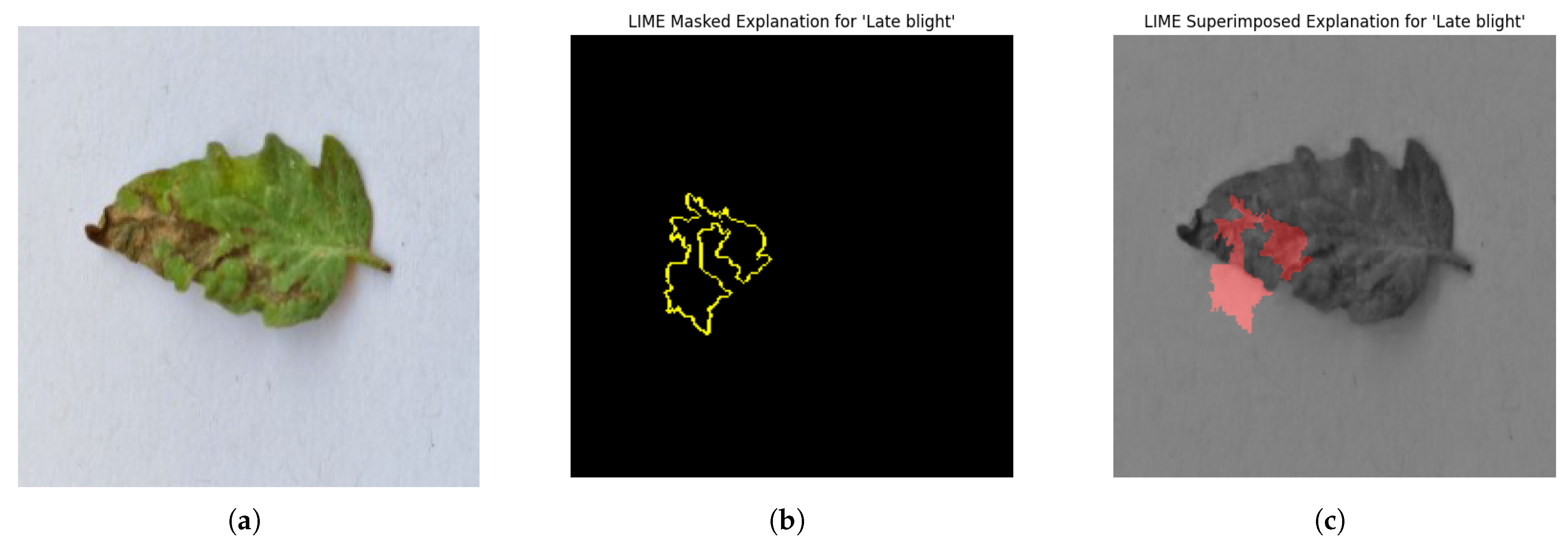 Electronics 14 04762 g011