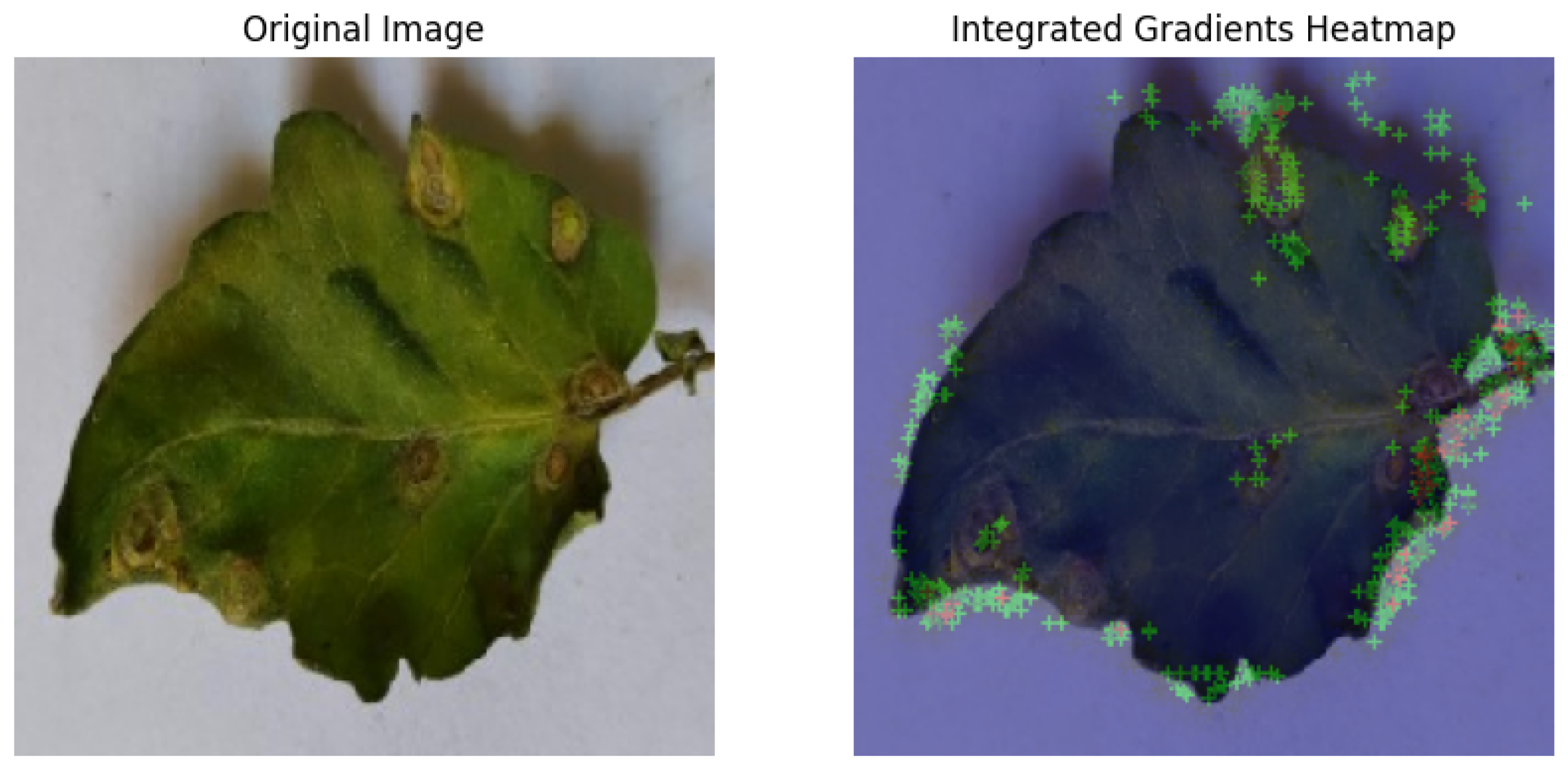 Electronics 14 04762 g014