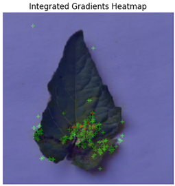 Electronics 14 04762 i003