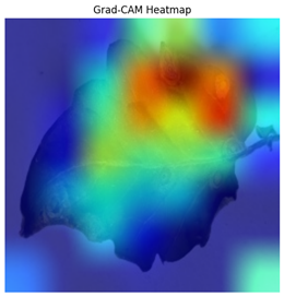 Electronics 14 04762 i006