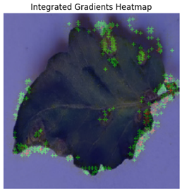Electronics 14 04762 i007